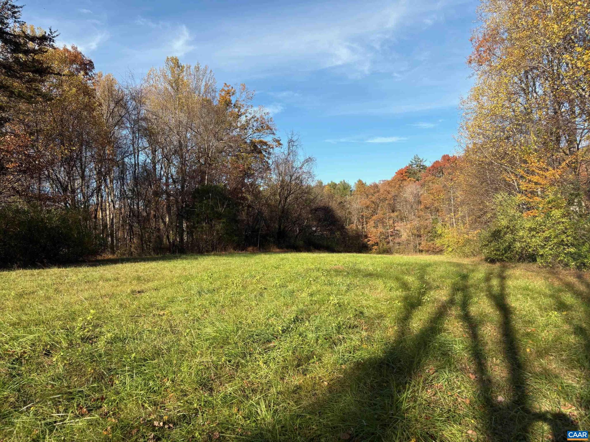 Lot D West Hoover Road, Unit D Reva, VA 22735 - Photo 10 of 11 a view of outdoor space and yard