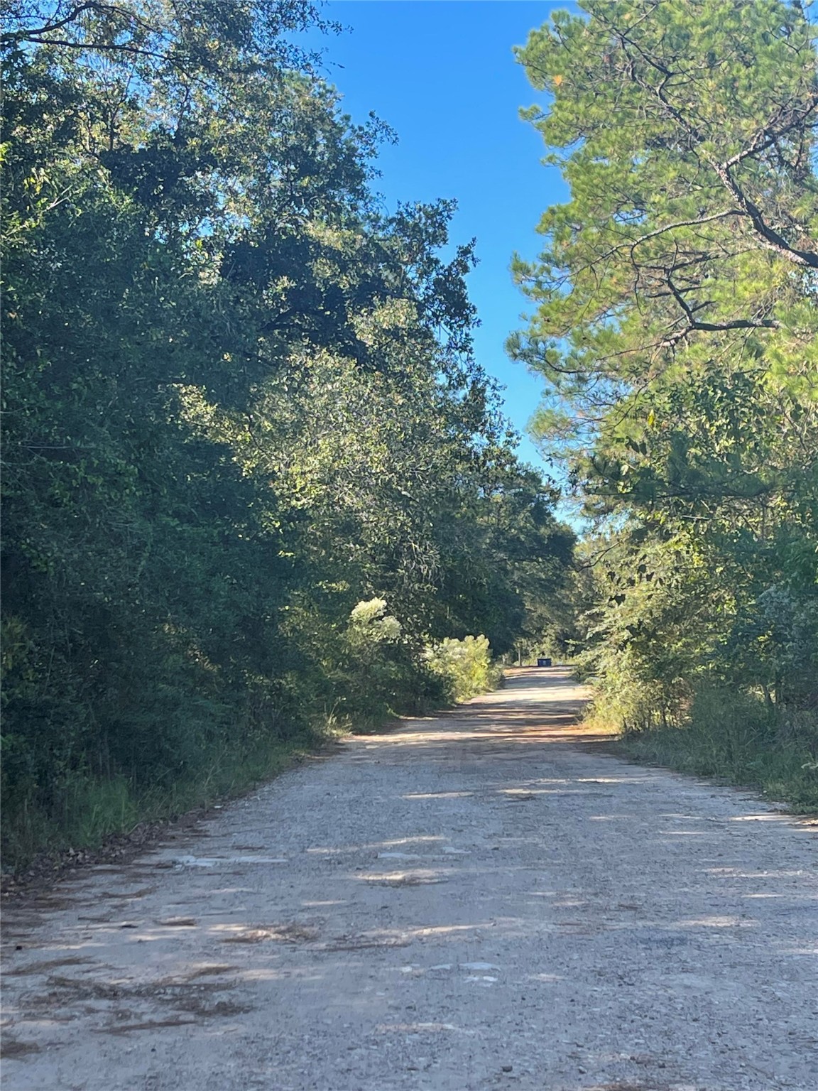 0 Le Conte Lane Humble, TX 77338 - Photo 2 of 2 a view of yard