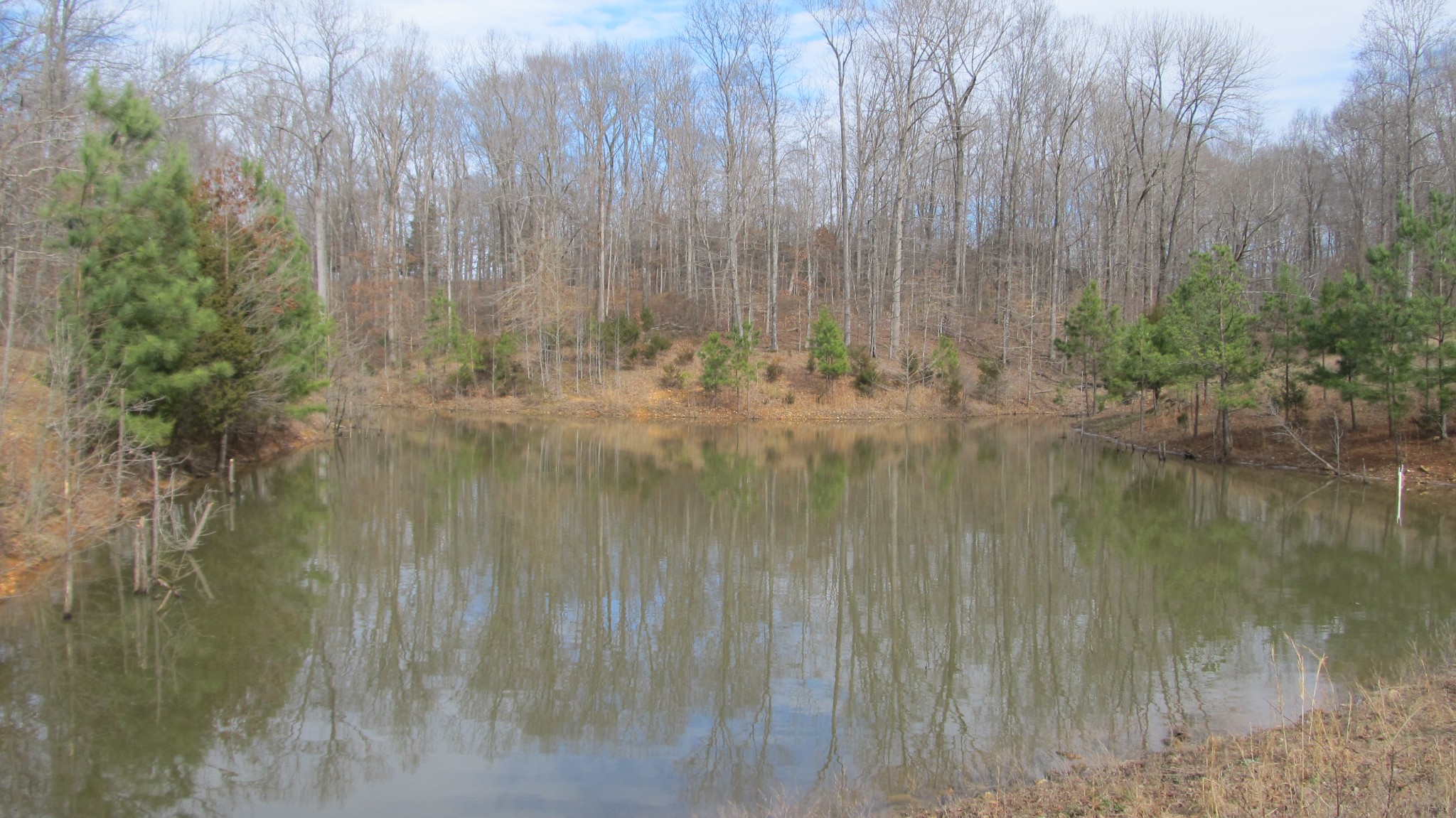 776 Norris Hollow Road Vanleer, TN 37181 - Photo 1 of 52