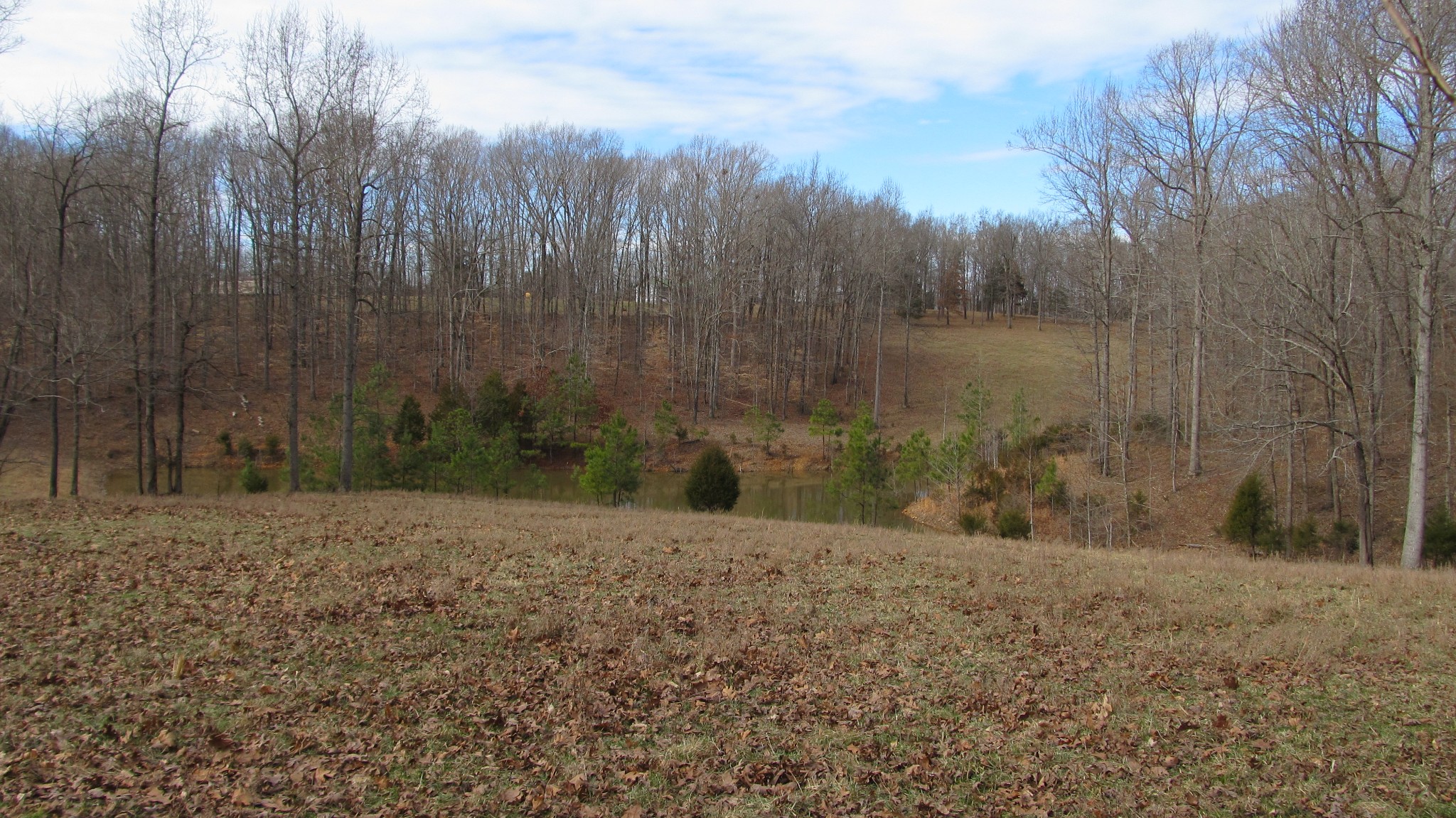 776 Norris Hollow Road Vanleer, TN 37181 - Photo 14 of 52 a view of a backyard of the house