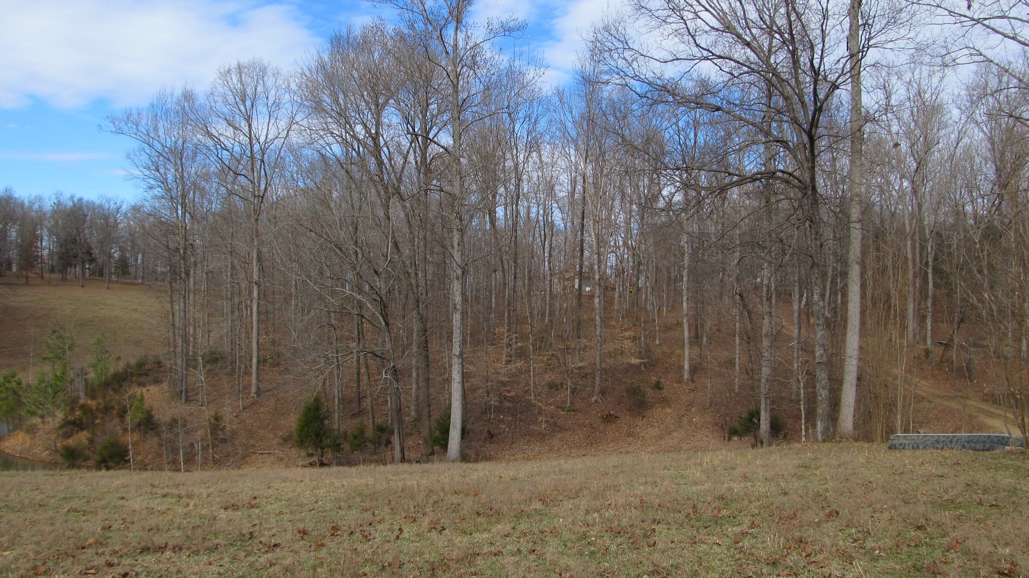 776 Norris Hollow Road Vanleer, TN 37181 - Photo 15 of 52 a view of a dry yard