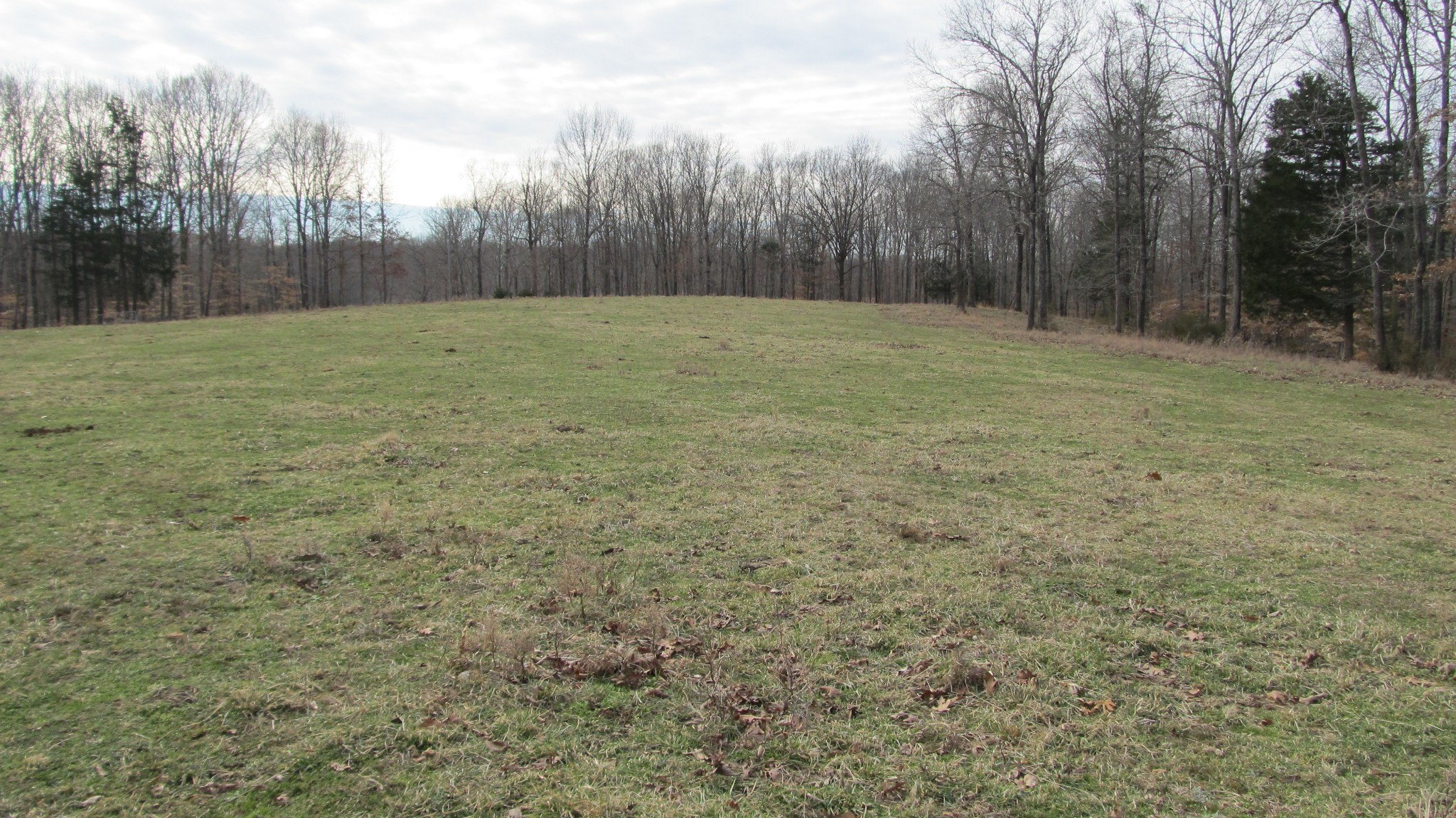 776 Norris Hollow Road Vanleer, TN 37181 - Photo 17 of 52 a view of an outdoor space and a yard