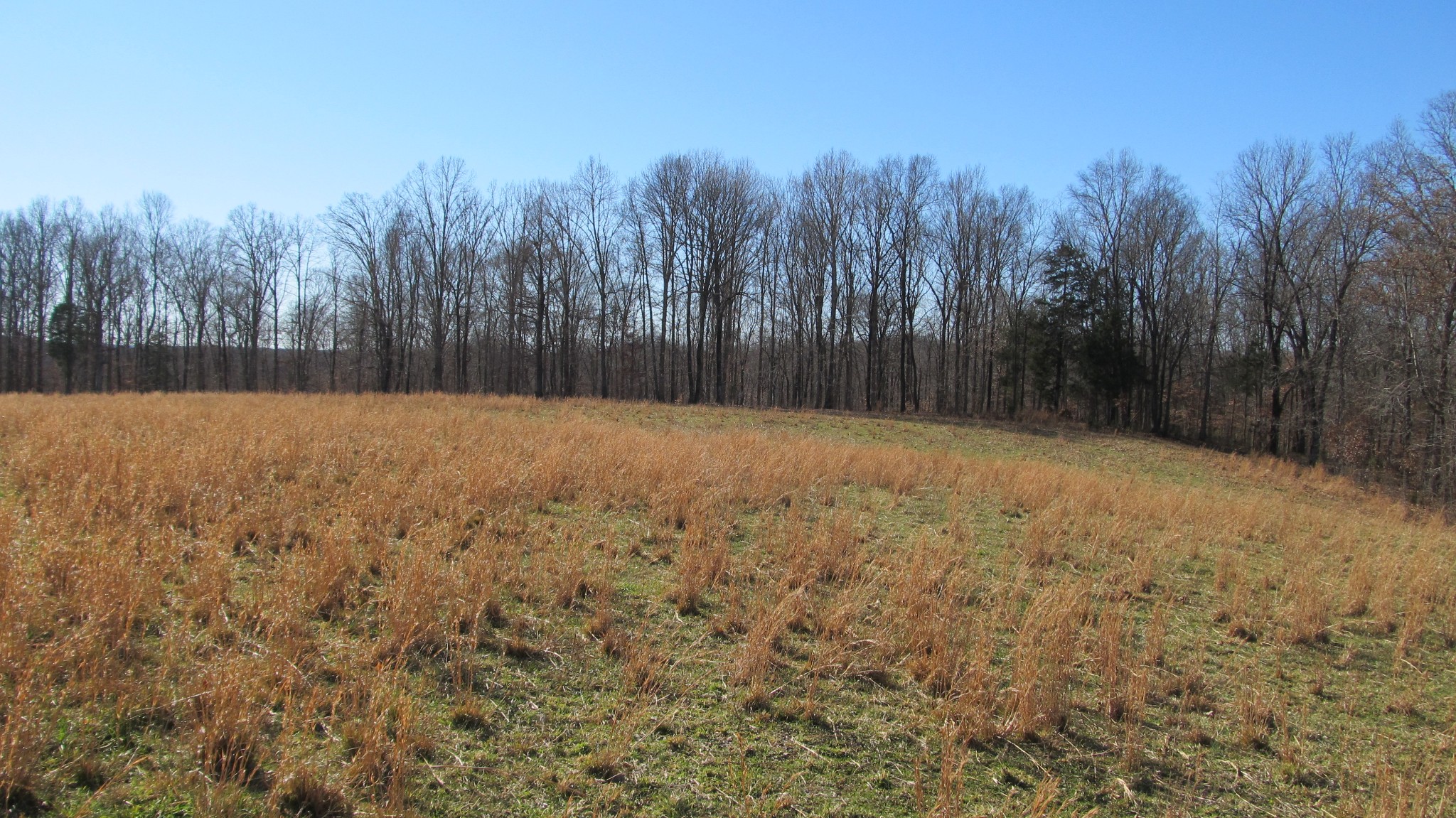 776 Norris Hollow Road Vanleer, TN 37181 - Photo 19 of 52