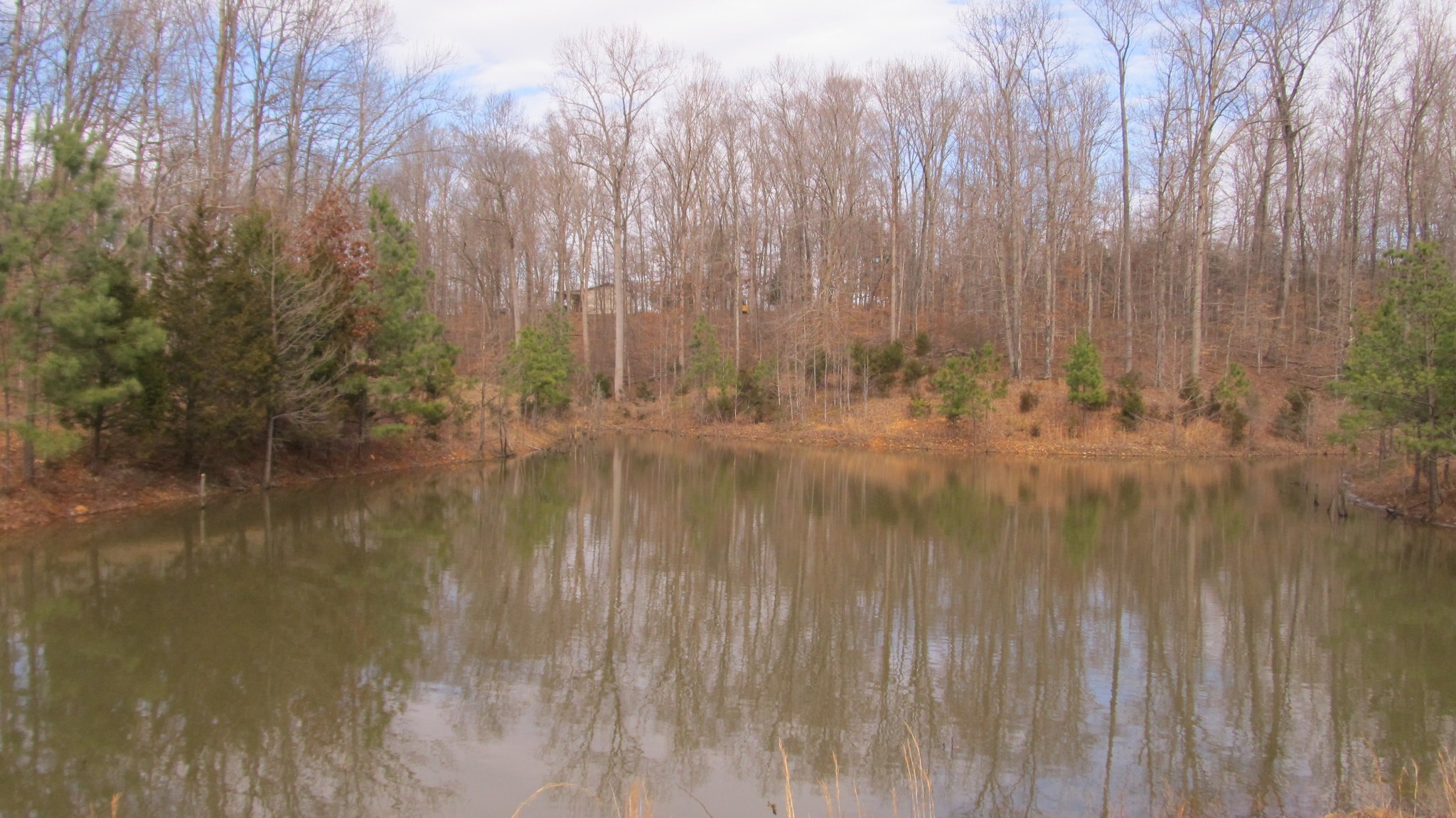 776 Norris Hollow Road Vanleer, TN 37181 - Photo 2 of 52