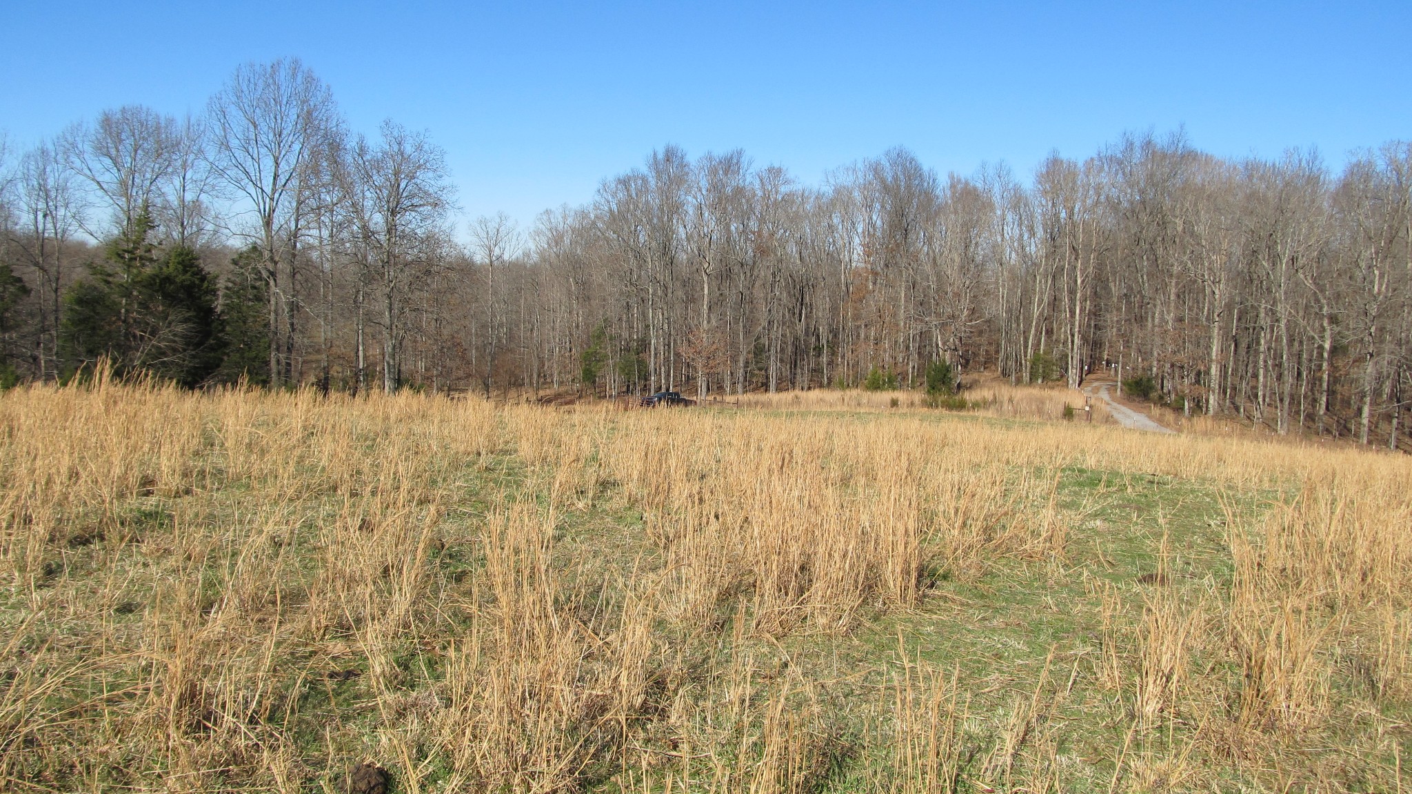 776 Norris Hollow Road Vanleer, TN 37181 - Photo 25 of 52 a view of snow on the ground