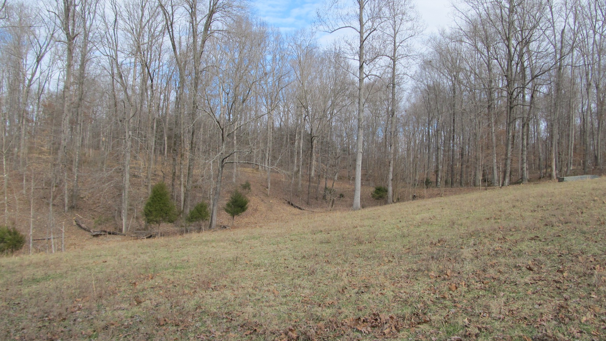 776 Norris Hollow Road Vanleer, TN 37181 - Photo 26 of 52 a view of backyard with wooden fence