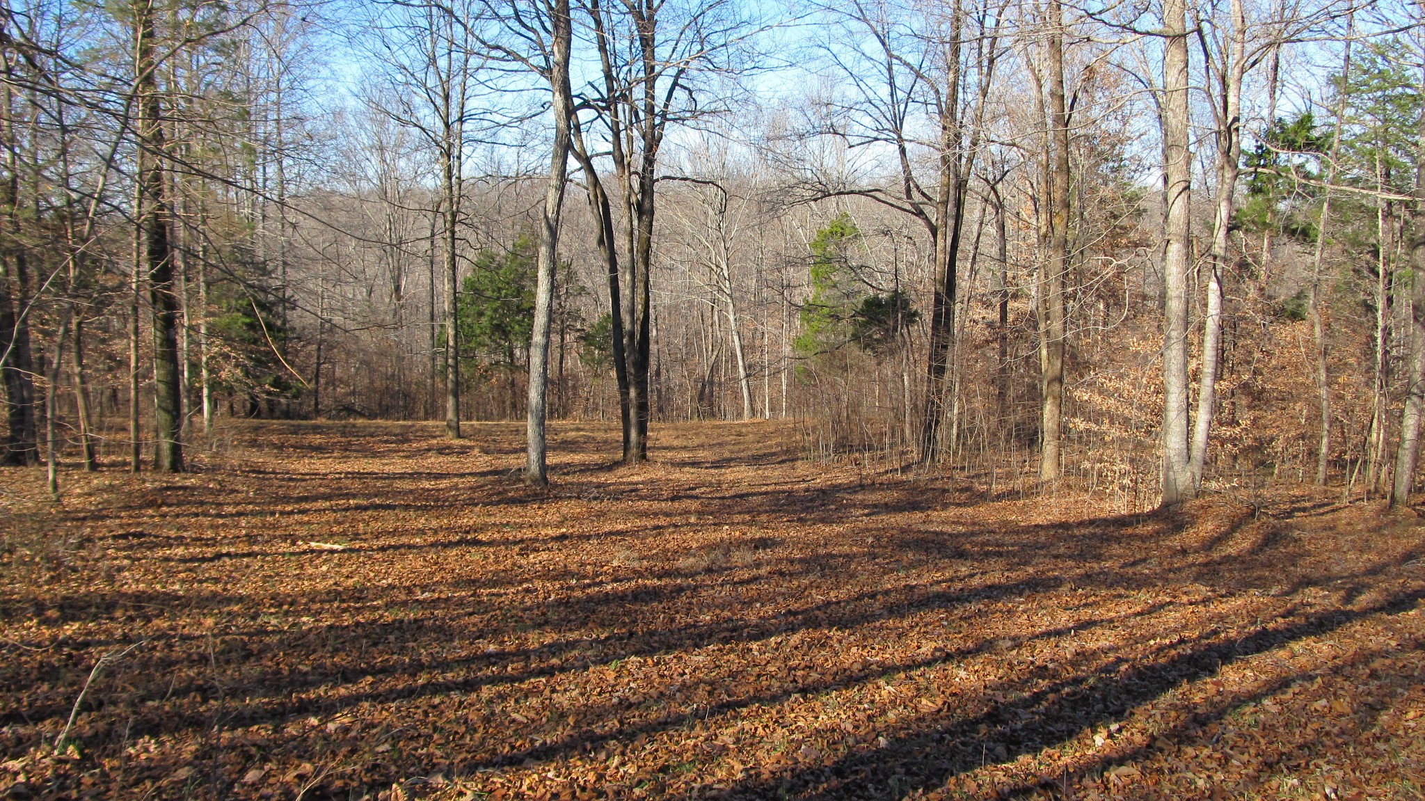 776 Norris Hollow Road Vanleer, TN 37181 - Photo 30 of 52 a backyard of a house with lots of green space