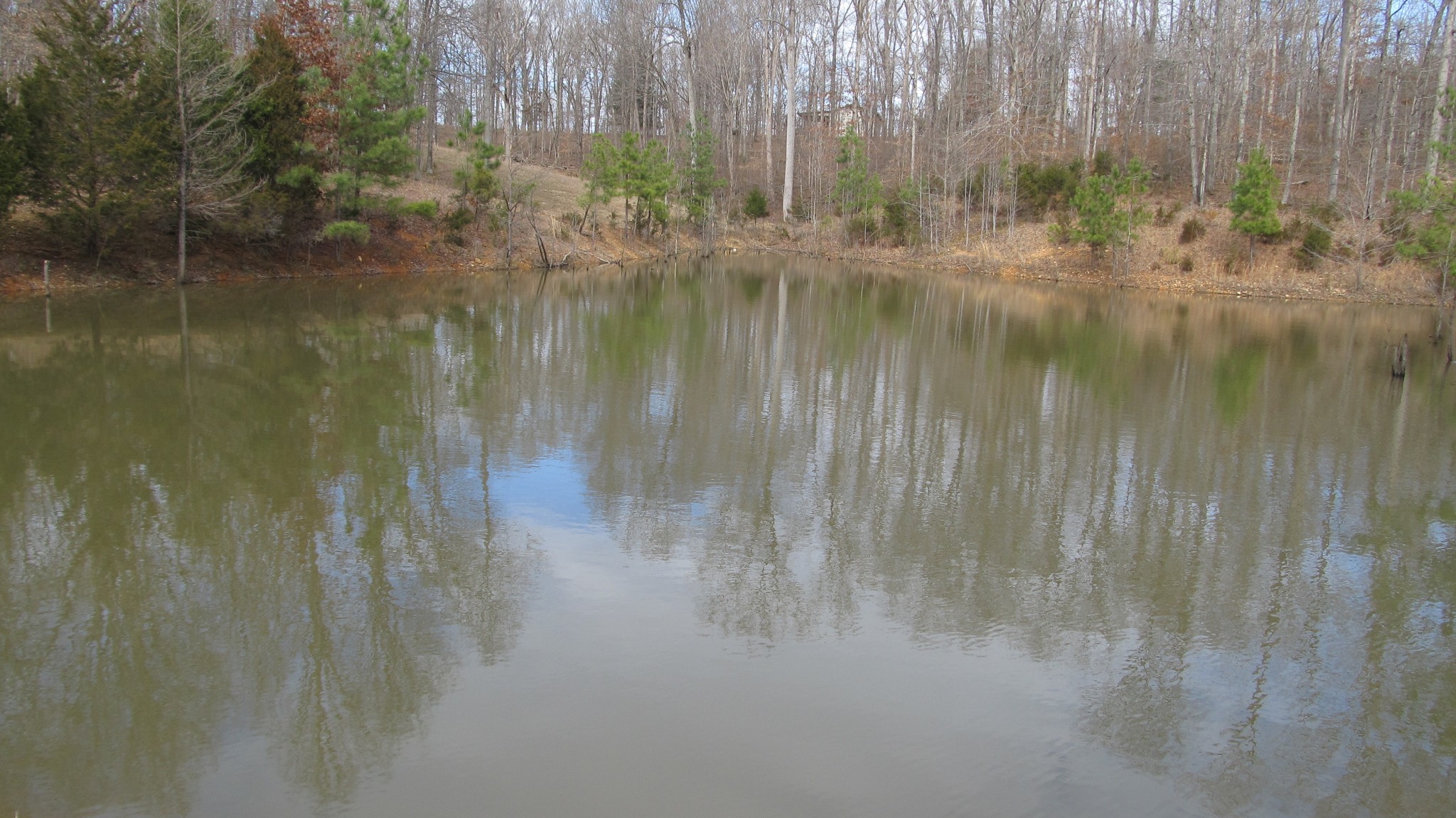 776 Norris Hollow Road Vanleer, TN 37181 - Photo 3 of 52 a view of river covered with trees