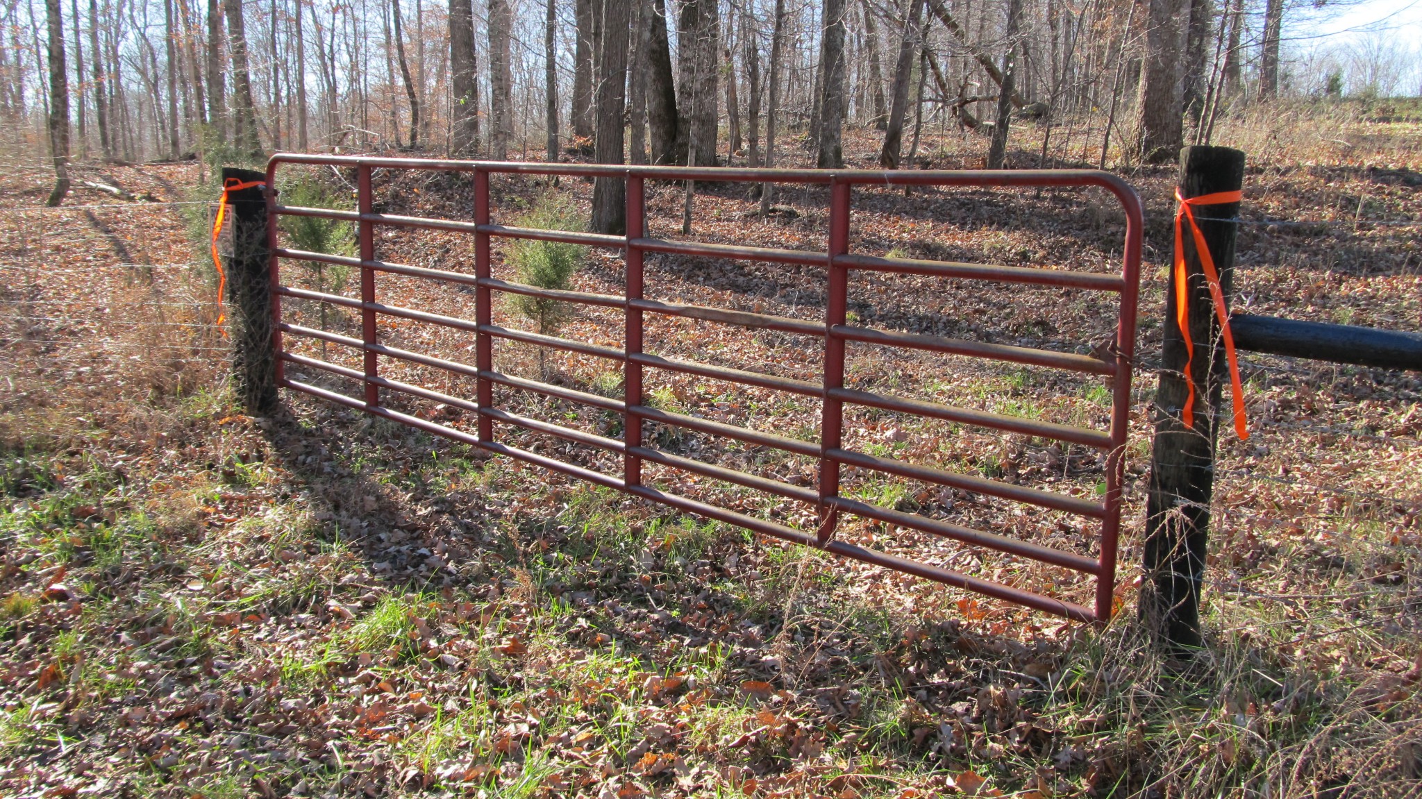 776 Norris Hollow Road Vanleer, TN 37181 - Photo 33 of 52 a view of outdoor space with wooden fence