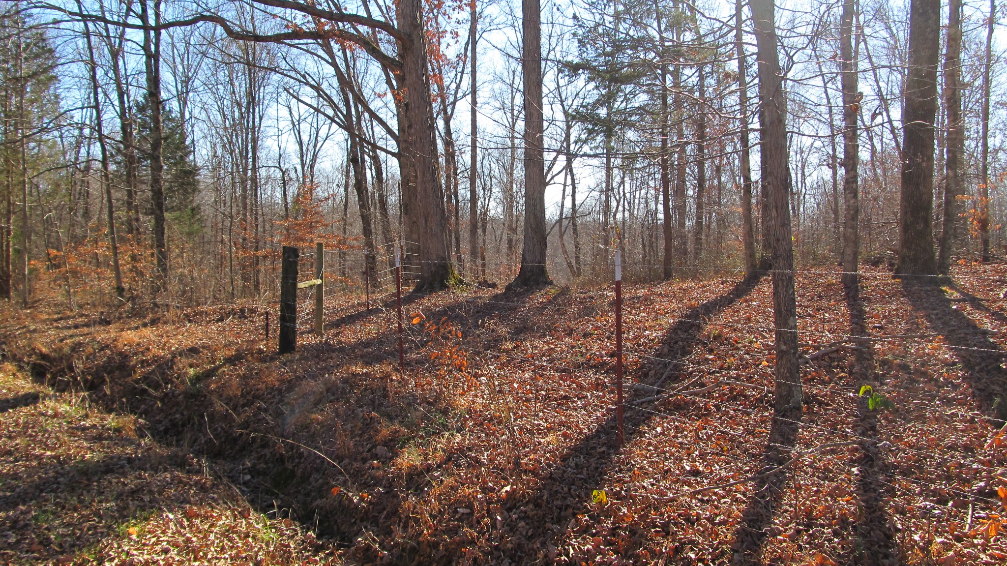 776 Norris Hollow Road Vanleer, TN 37181 - Photo 34 of 52 a view of outdoor space with lots of trees
