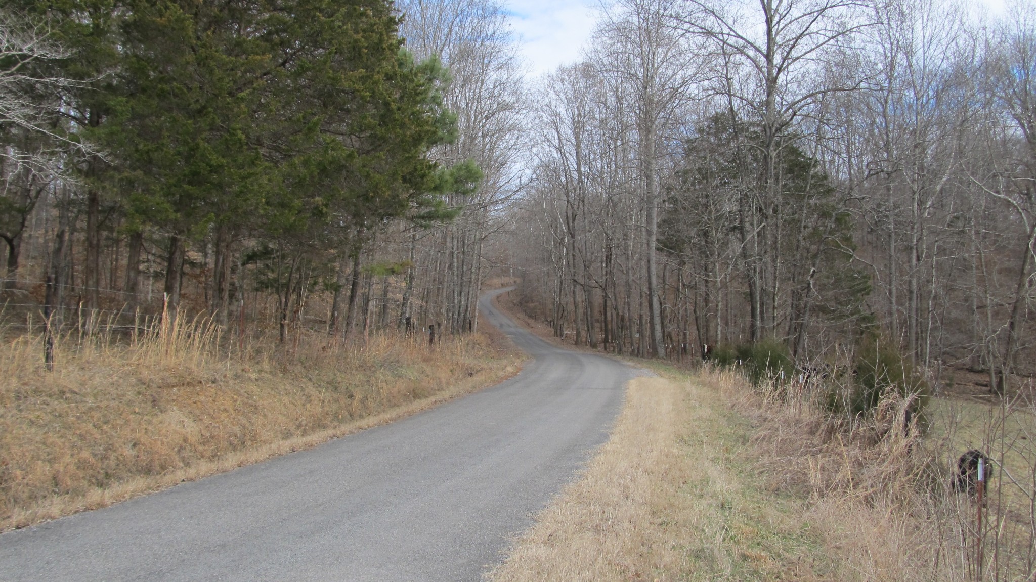 776 Norris Hollow Road Vanleer, TN 37181 - Photo 36 of 52 a view of a dry yard with trees