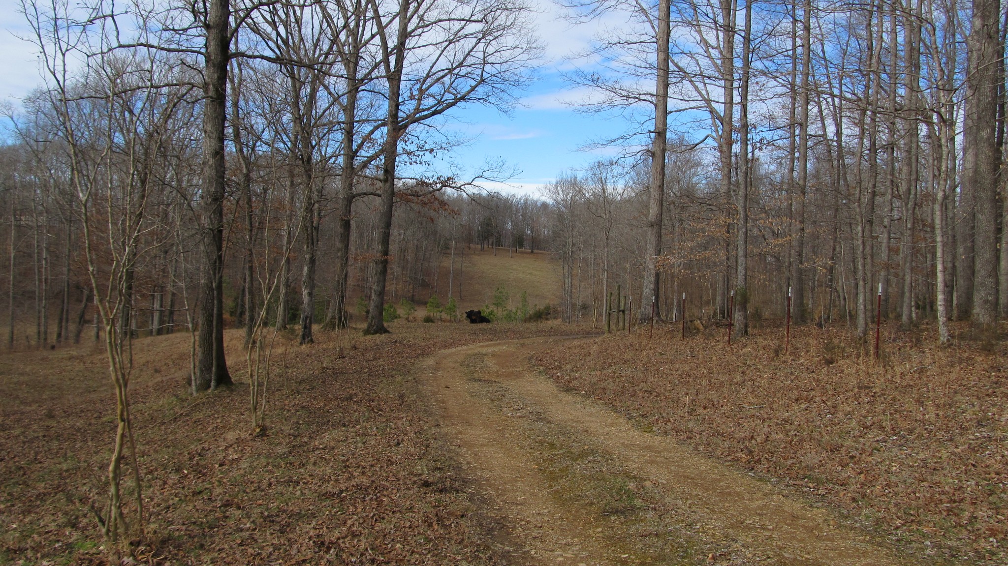 776 Norris Hollow Road Vanleer, TN 37181 - Photo 37 of 52 a view of a barn with large trees