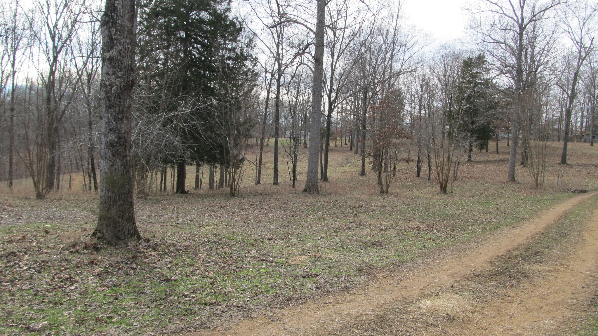 776 Norris Hollow Road Vanleer, TN 37181 - Photo 38 of 52 a view of outdoor space with trees