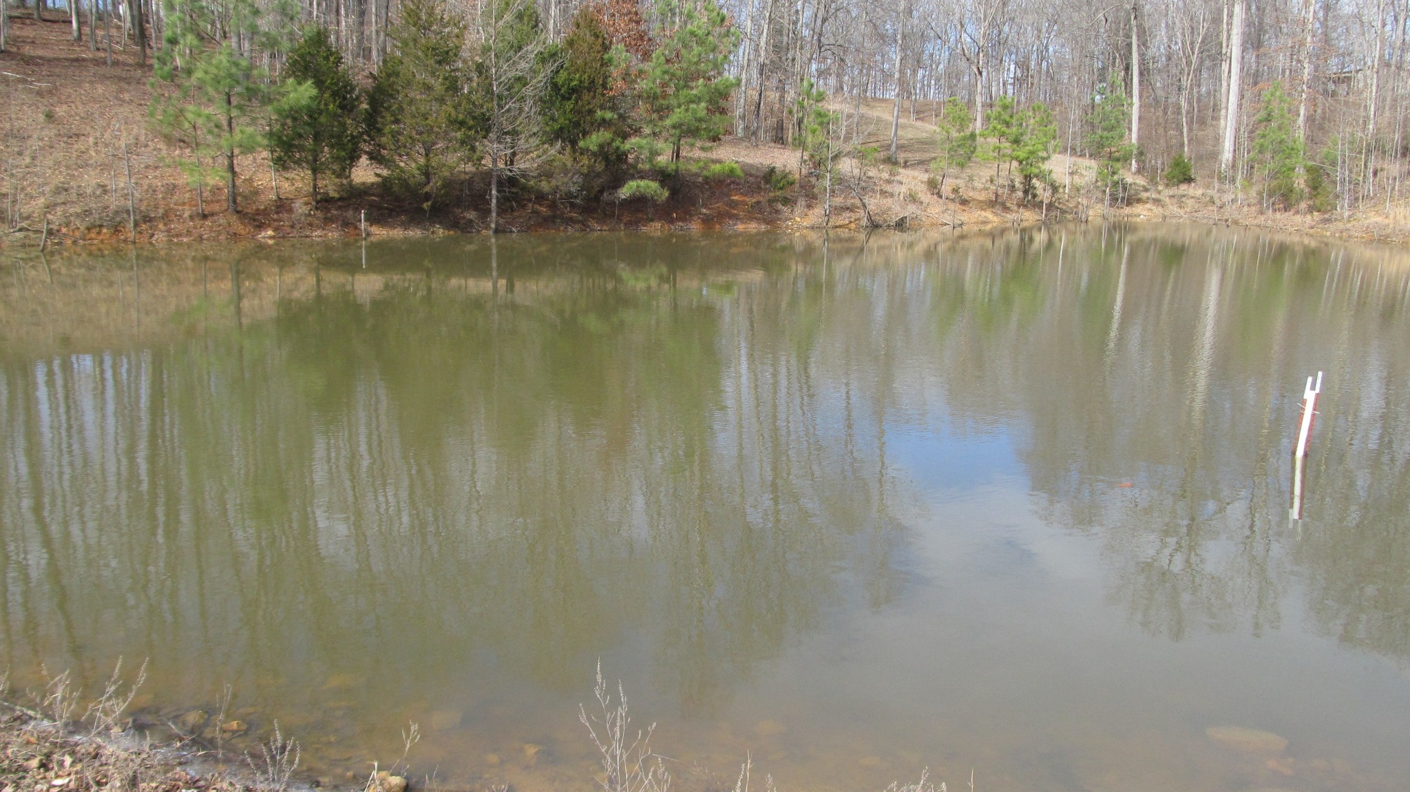 776 Norris Hollow Road Vanleer, TN 37181 - Photo 4 of 52 a view of lake