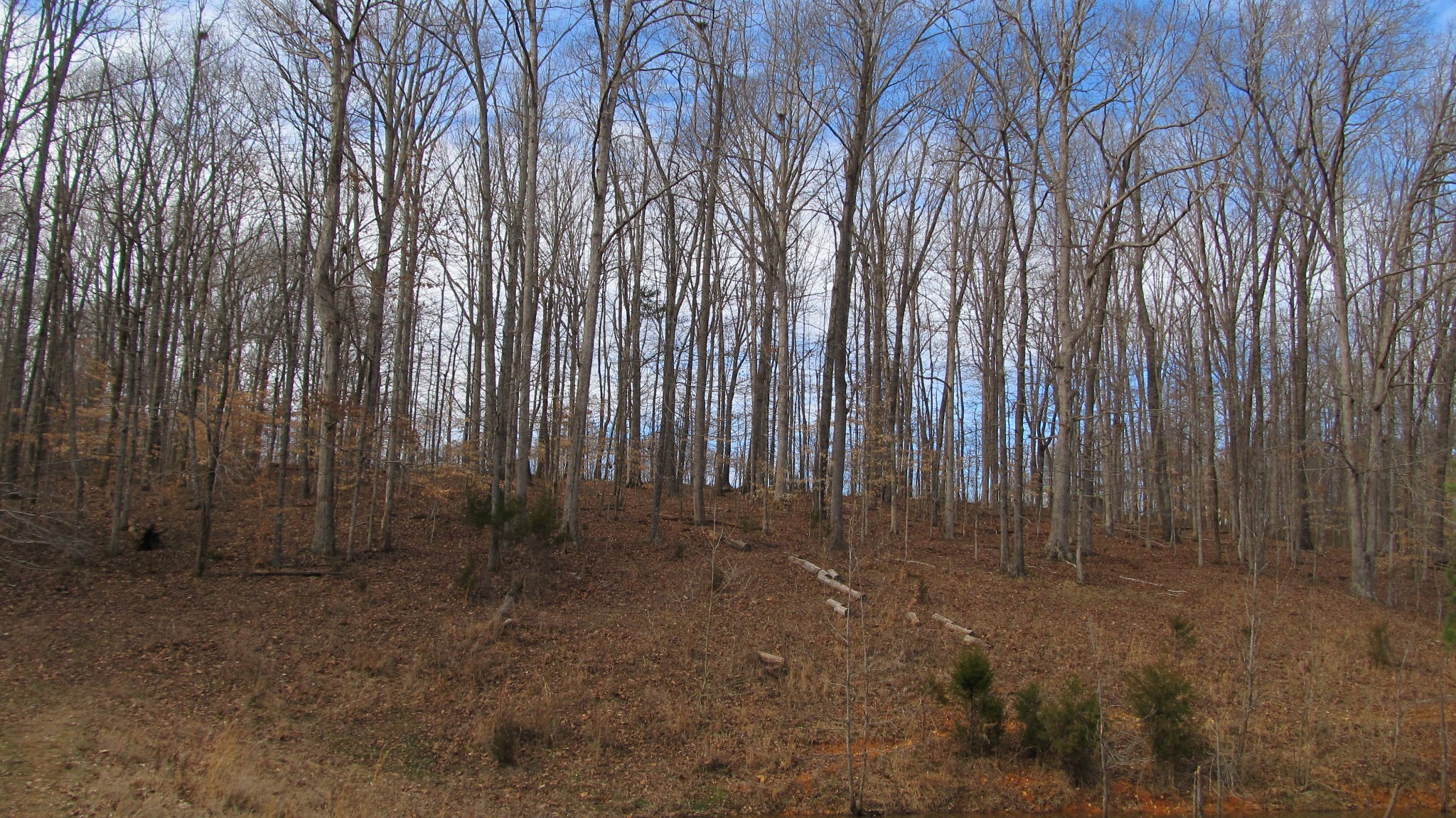 776 Norris Hollow Road Vanleer, TN 37181 - Photo 41 of 52 a view of outdoor space with wooden fence