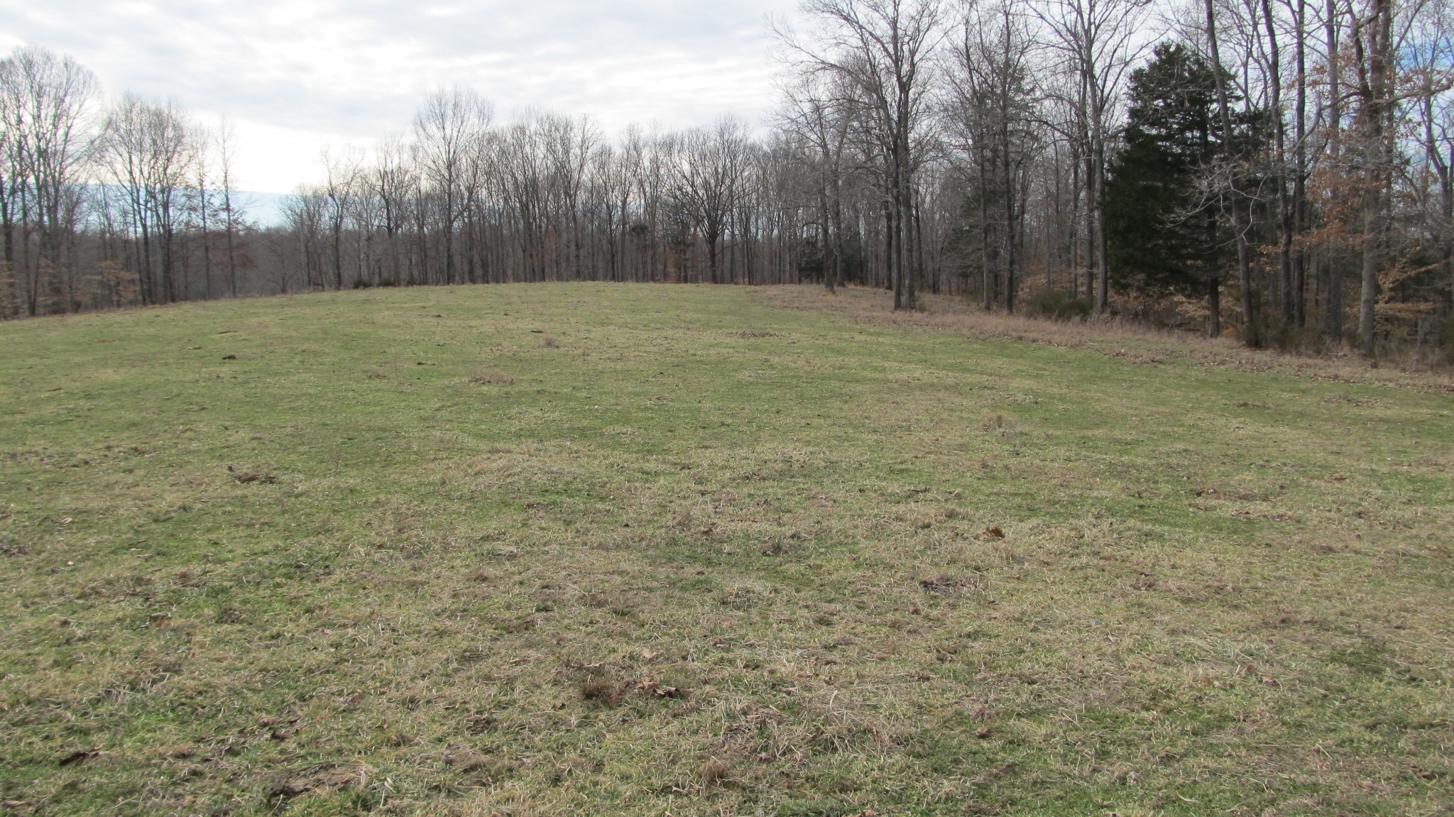 776 Norris Hollow Road Vanleer, TN 37181 - Photo 47 of 52 a view of a grassy field with trees in the background
