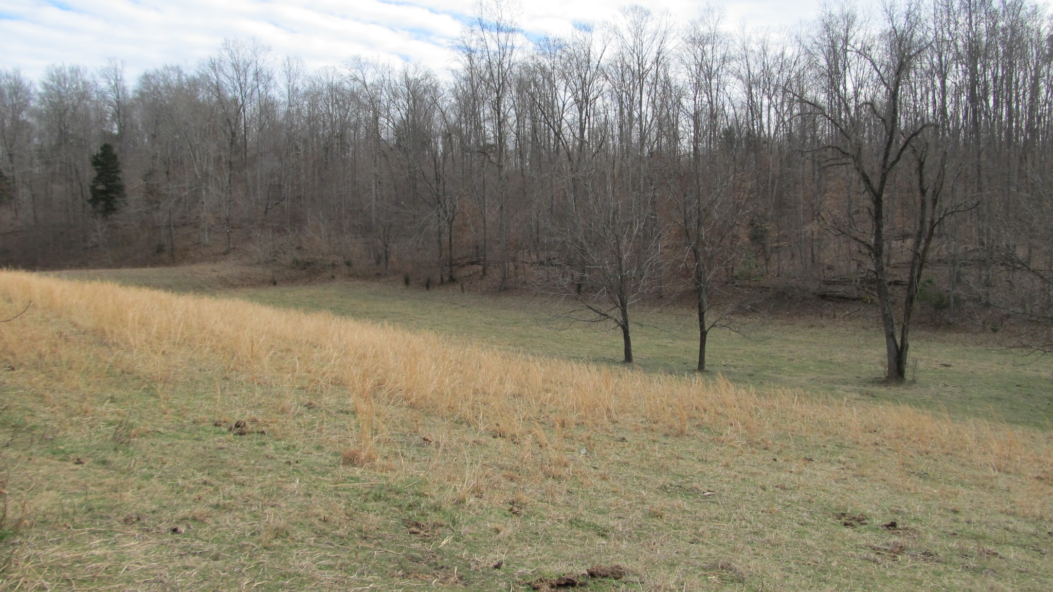 776 Norris Hollow Road Vanleer, TN 37181 - Photo 49 of 52 a view of a room with trees in the background