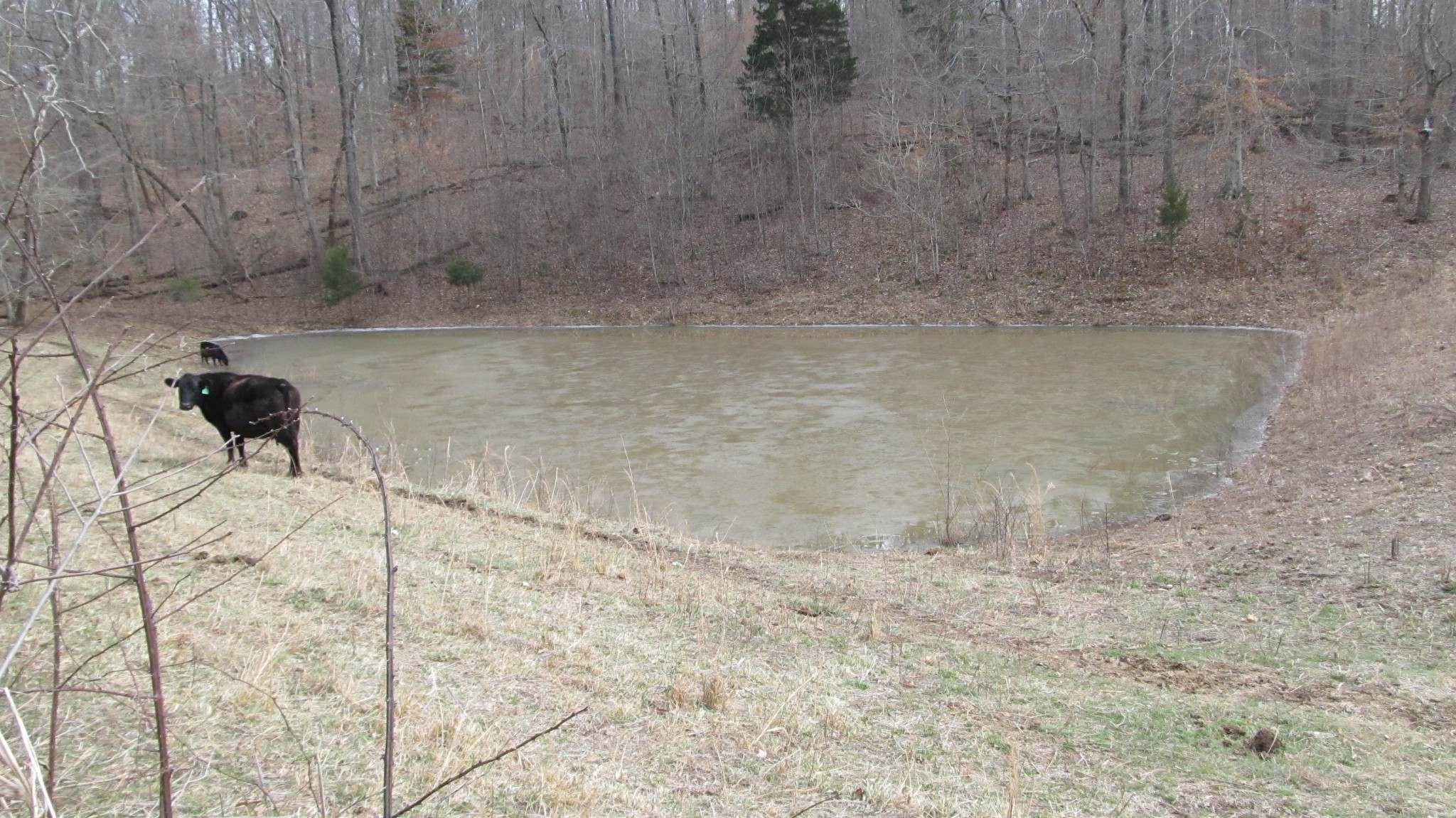 776 Norris Hollow Road Vanleer, TN 37181 - Photo 10 of 52