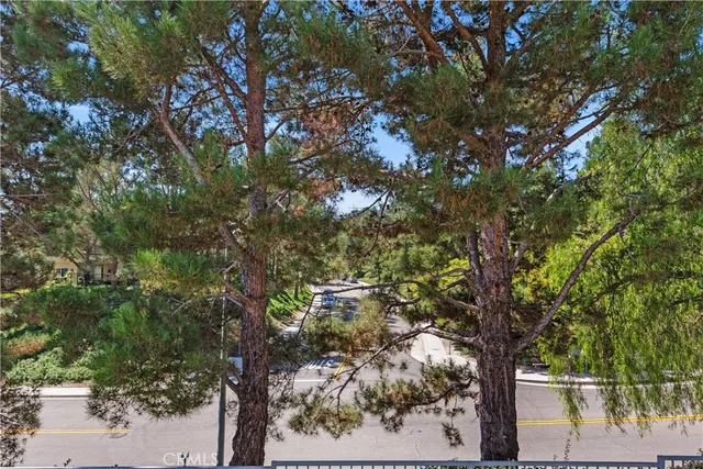 a view of a tree in a yard