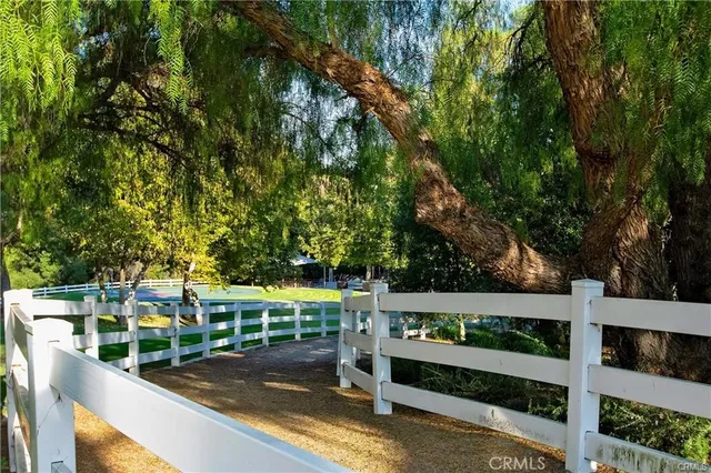 a view of a park with large trees