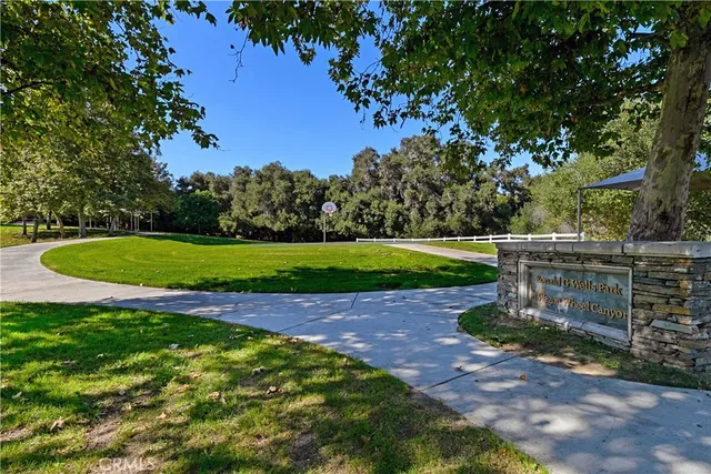 a view of a park with large trees