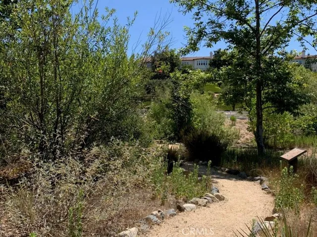 a view of a garden with a bench