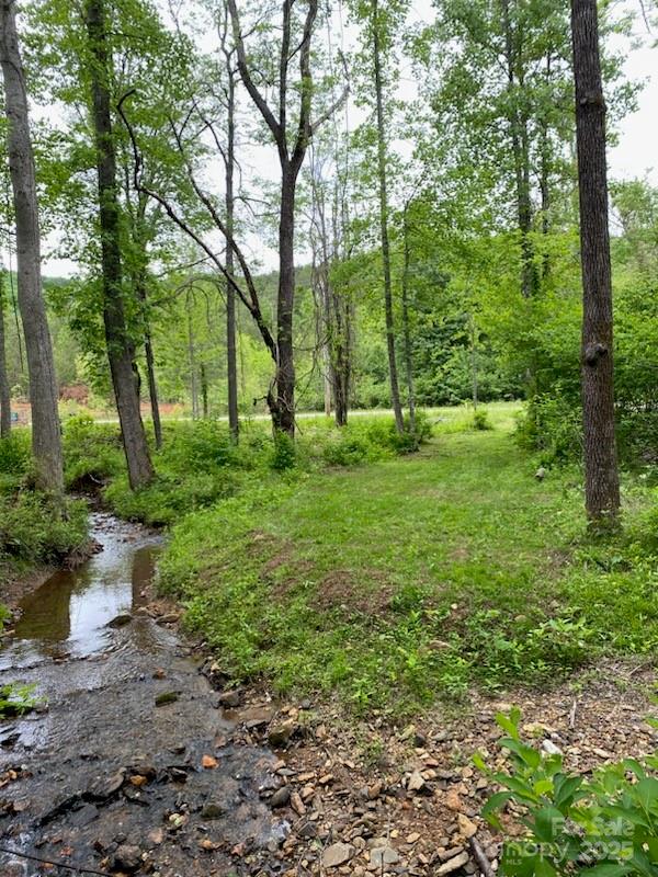0 Pine Needle Lane Bostic, NC 28018 - Photo 1 of 5 a view of a backyard with large trees