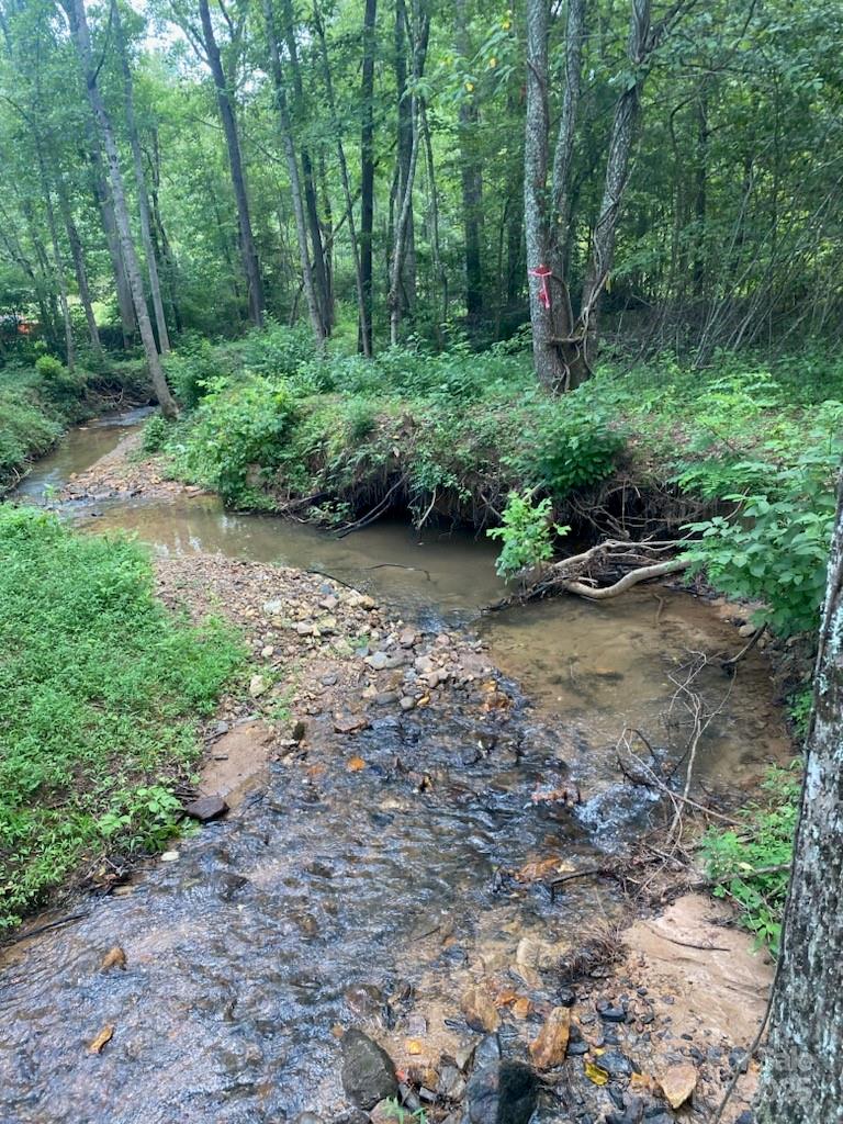 0 Pine Needle Lane Bostic, NC 28018 - Photo 2 of 5 a view of a garden with trees