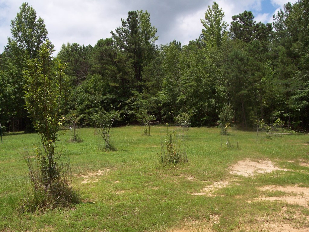 0 Mann Road Shiloh, GA 31826 - Photo 8 of 12 Gallery Image 8