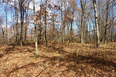382 29 29 Mile Road Albion, MI 49224 - Photo 10 of 11 Additional Photo