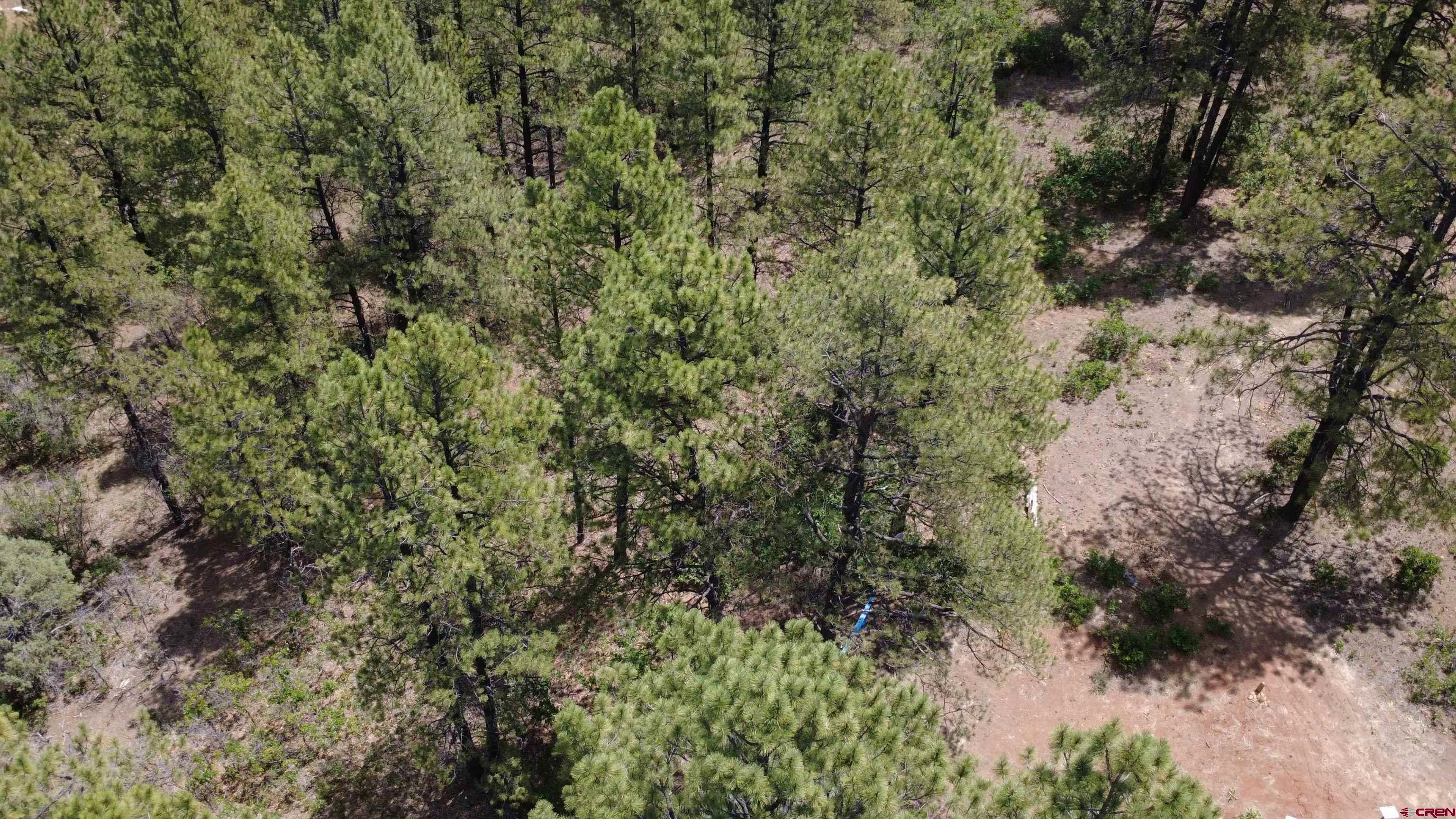 121 Engineer Point Pagosa Springs, CO 81147 - Photo 35 of 43