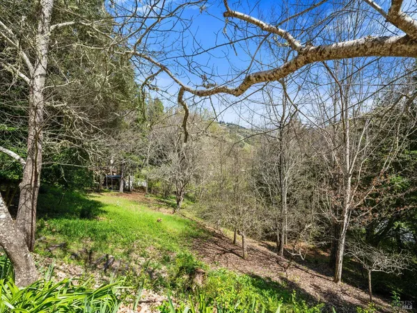 a view of a backyard