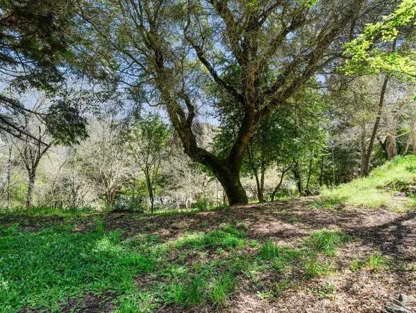 a view of outdoor space with deck and tree