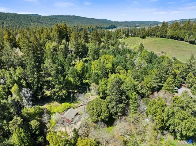 a view of a lush green outdoor space with a lake view