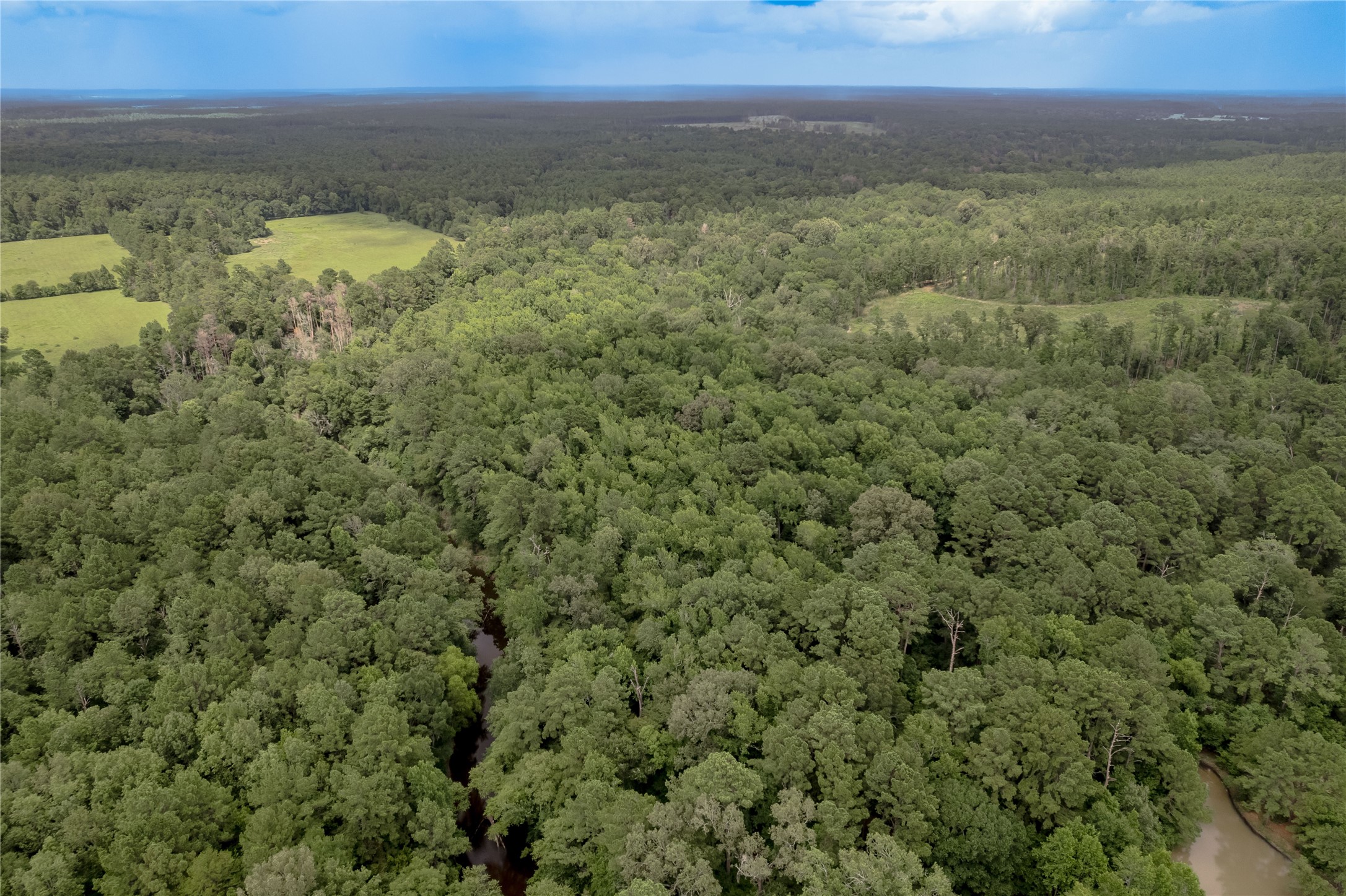 438 Cody Road Trinity, TX 75862 - Photo 24 of 50 Expansive aerial view of lush, green forested land with creek running through back of property, offering a serene and private natural setting ideal for nature lovers.