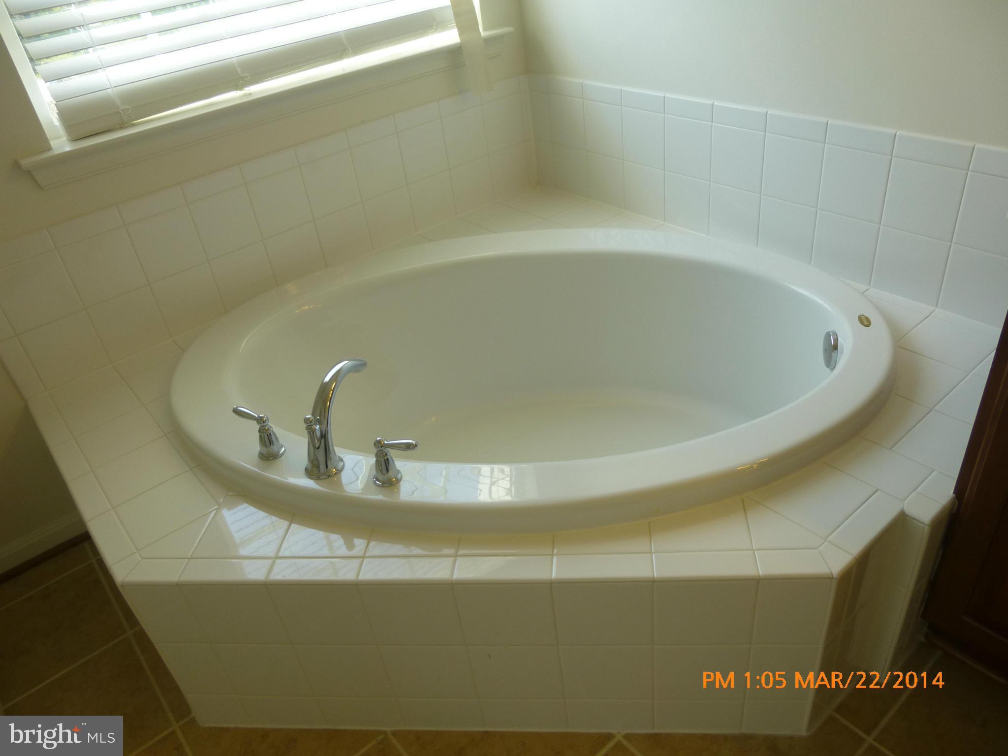 671 Tivoli Road Frederick, MD 21703 - Photo 17 of 30 Bath (Master)
