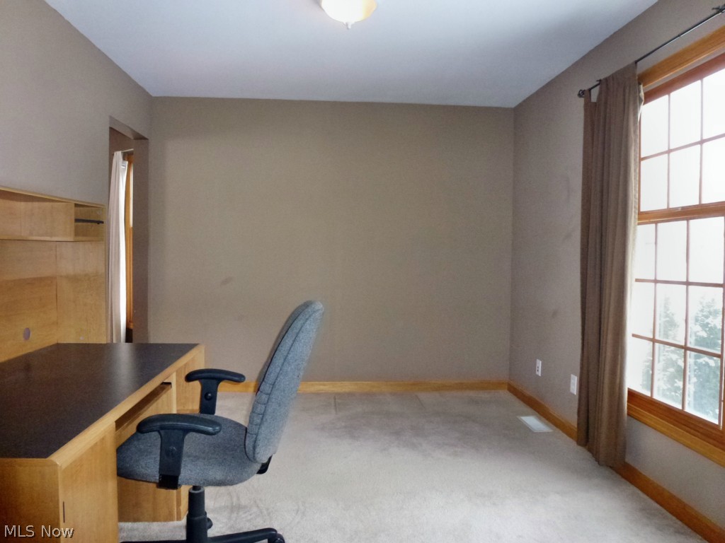 13591 Spring Street Burton, OH 44021 - Photo 3 of 25 Gallery Image 3