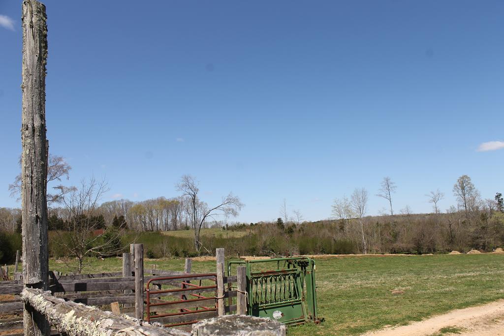 316 Young Road Boydton, VA 23917 - Photo 42 of 44 Gallery Image 42