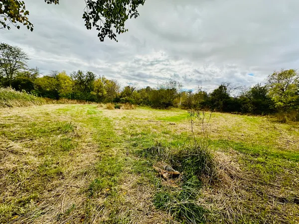 a view of an ocean from a yard