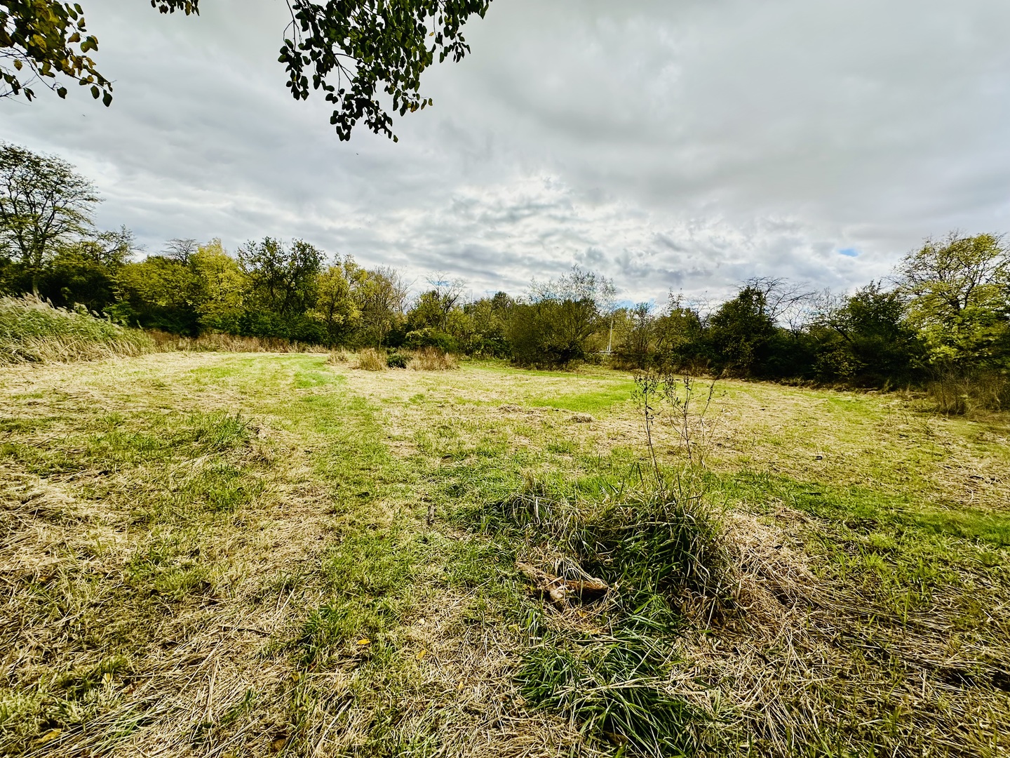 1508 East 18th Road Streator, IL 61364 - Photo 23 of 27 a view of an ocean from a yard