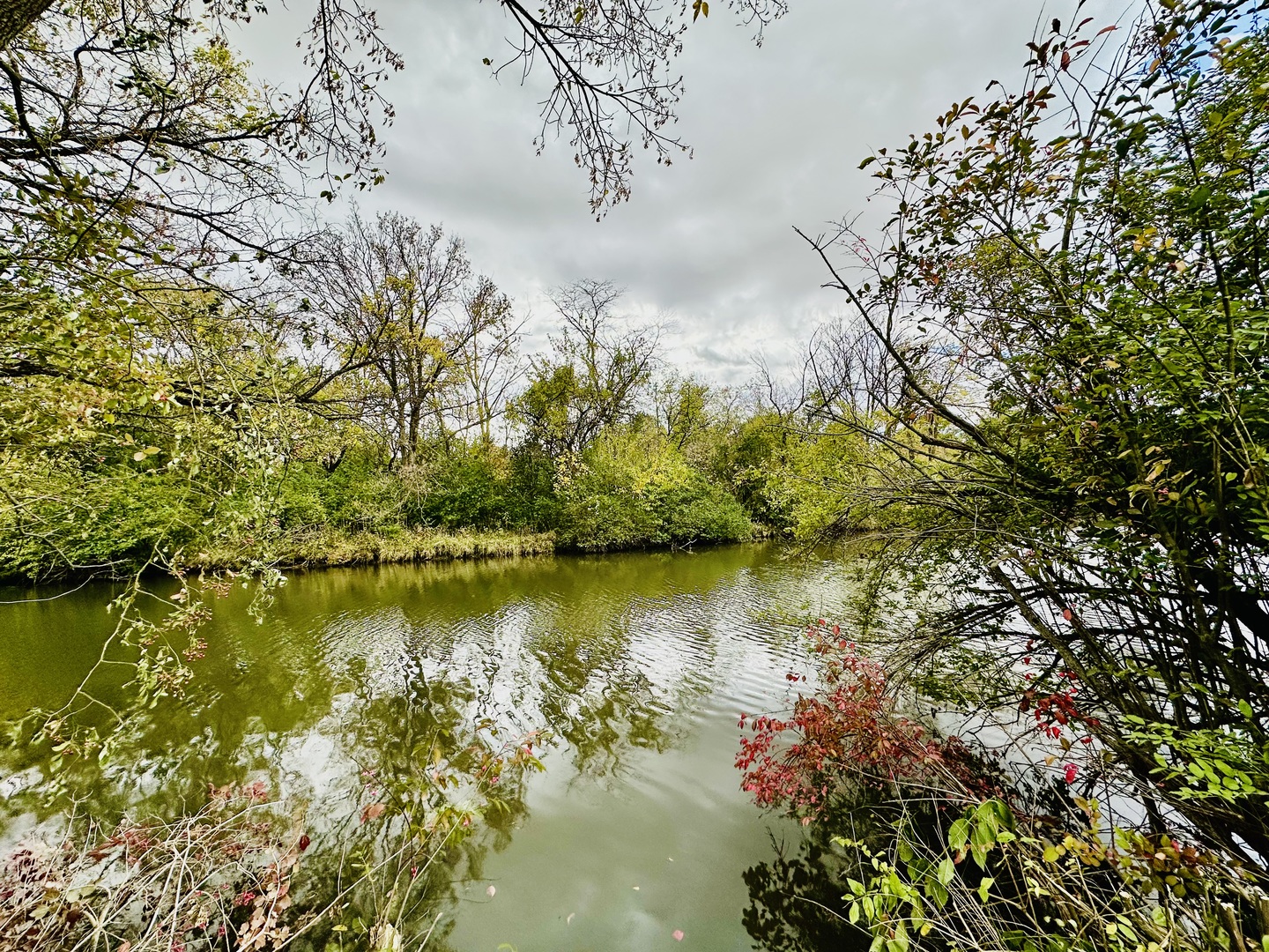 1508 East 18th Road Streator, IL 61364 - Photo 25 of 27 a view of lake