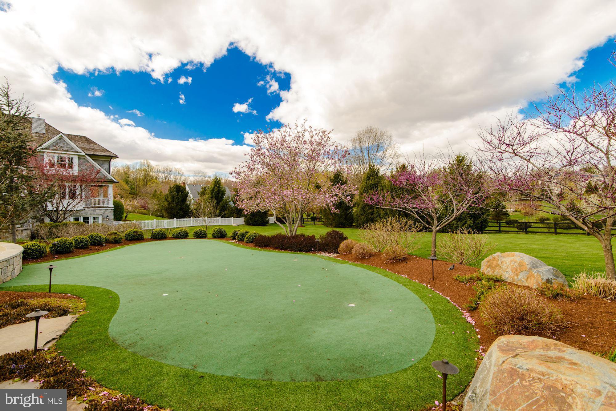 733 Springvale Road Great Falls, VA 22066 - Photo 20 of 74 Custom built putting green