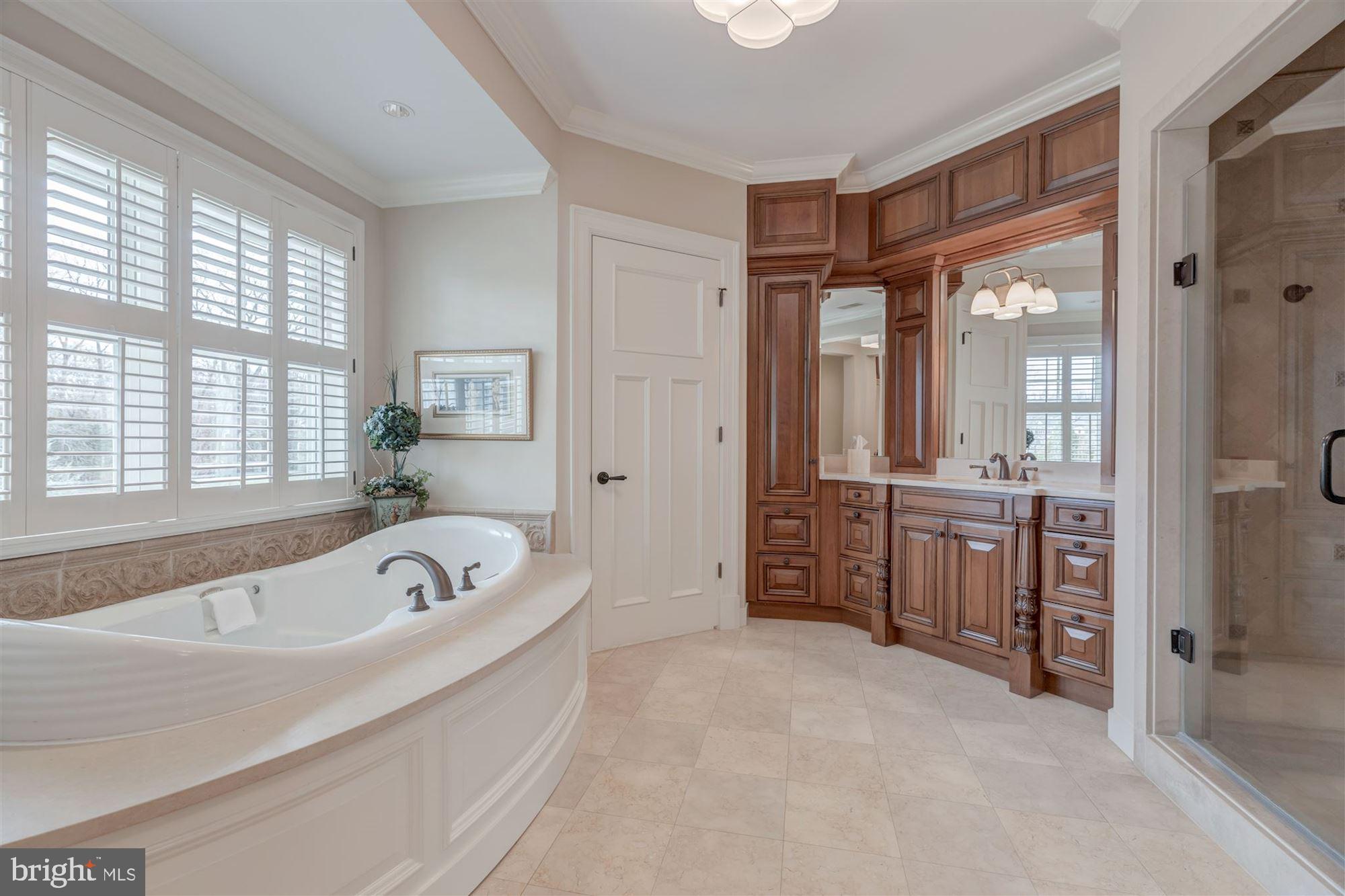 733 Springvale Road Great Falls, VA 22066 - Photo 34 of 74 Jacuzzi bath, dual separate water closets