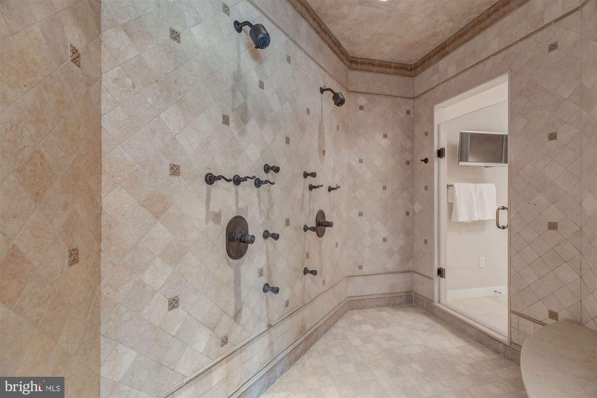 733 Springvale Road Great Falls, VA 22066 - Photo 36 of 74 two door glass entry shower w/ rain shower heads