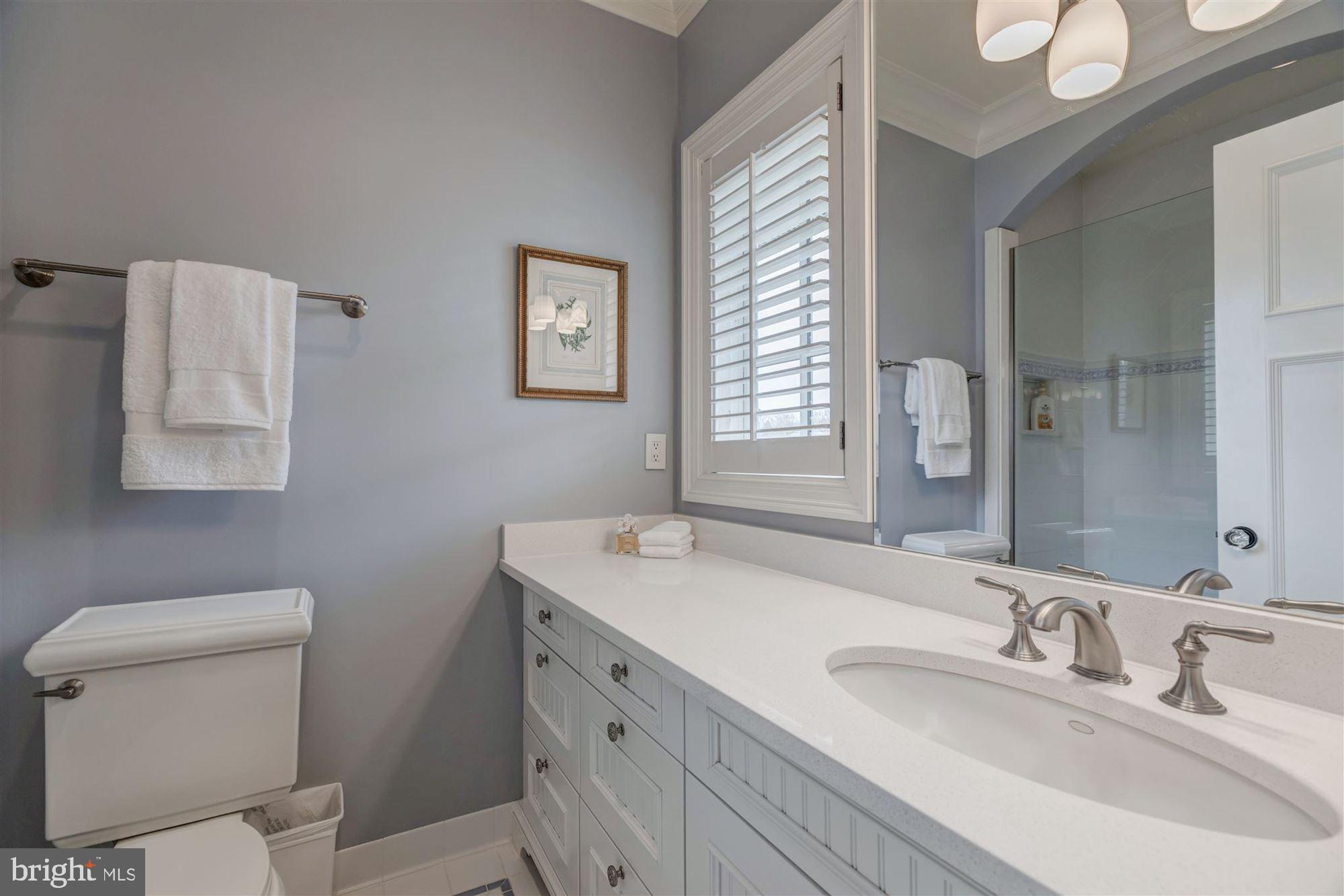 733 Springvale Road Great Falls, VA 22066 - Photo 38 of 74 BA 2