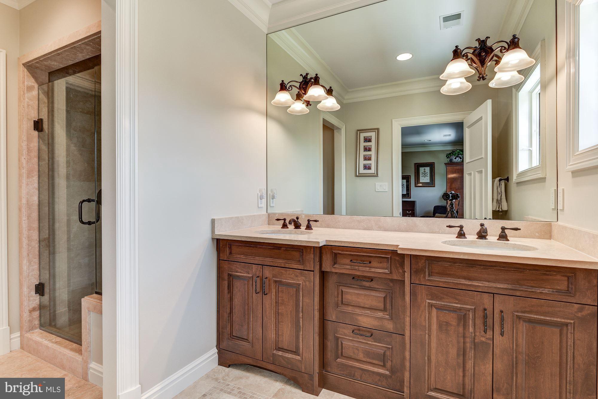 733 Springvale Road Great Falls, VA 22066 - Photo 45 of 74 Gallery Image 45