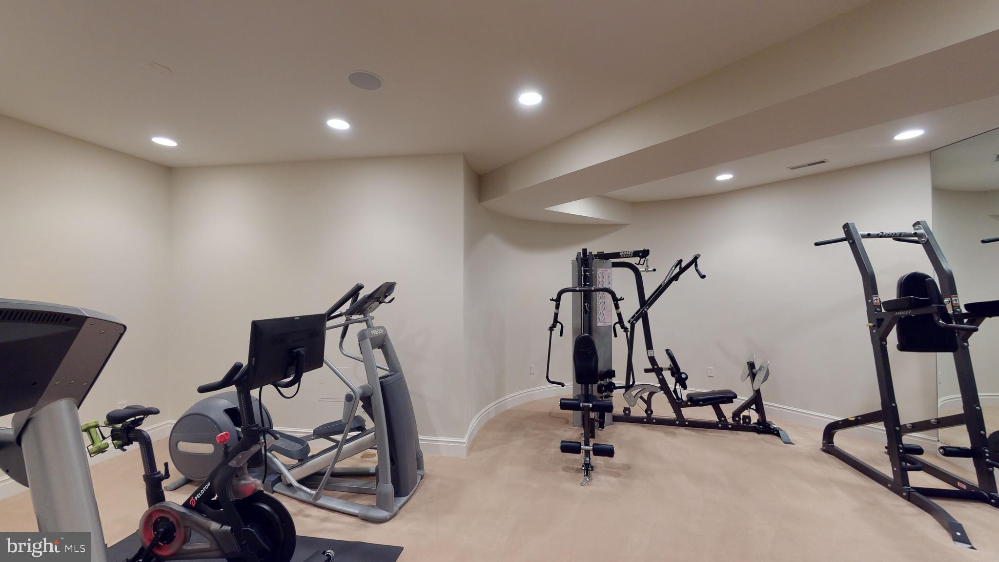 733 Springvale Road Great Falls, VA 22066 - Photo 52 of 74 Exercise Room w/ floor-ceiling mirrors