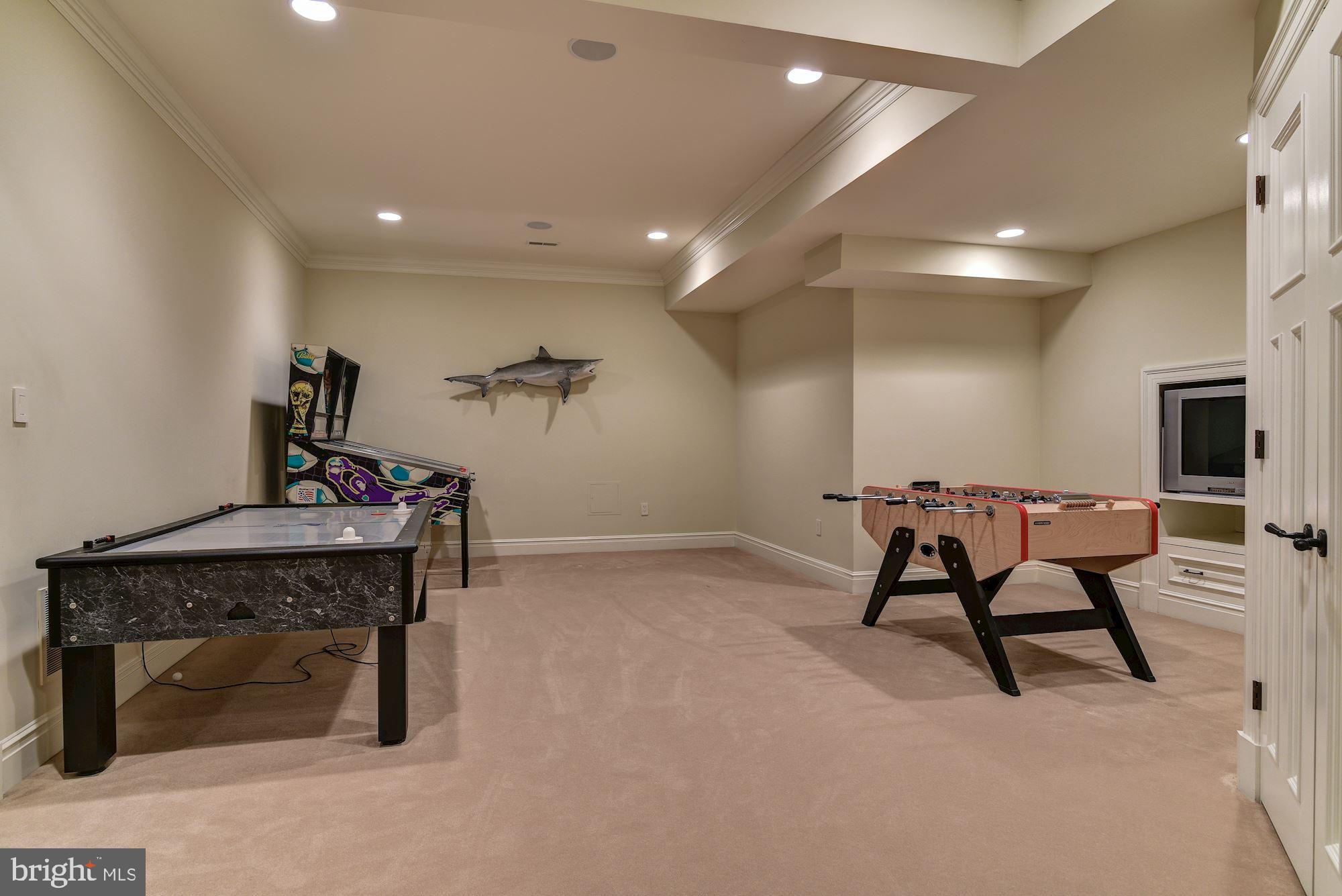 733 Springvale Road Great Falls, VA 22066 - Photo 53 of 74 Game Room w/ dual door entry, built in TV