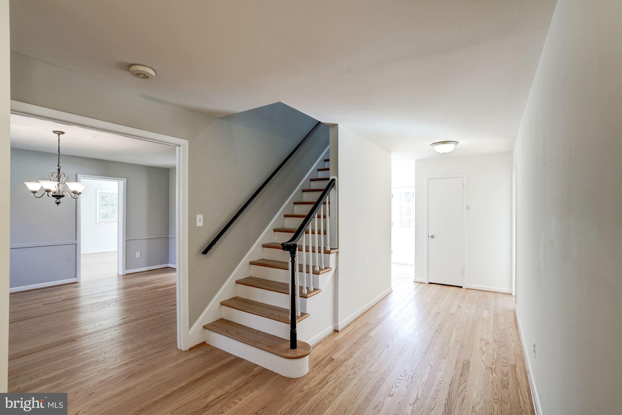 733 Springvale Road Great Falls, VA 22066 - Photo 69 of 74 Guest House