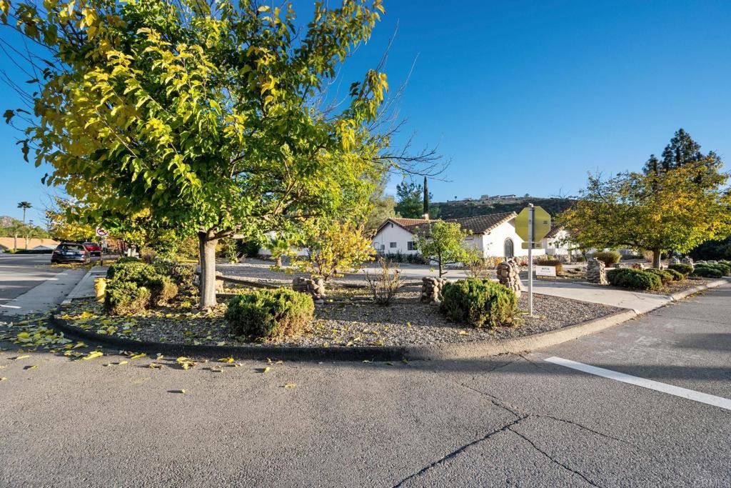 16273 Arena Drive Ramona, CA 92065 - Photo 66 of 67 a view of a park with plants and bench